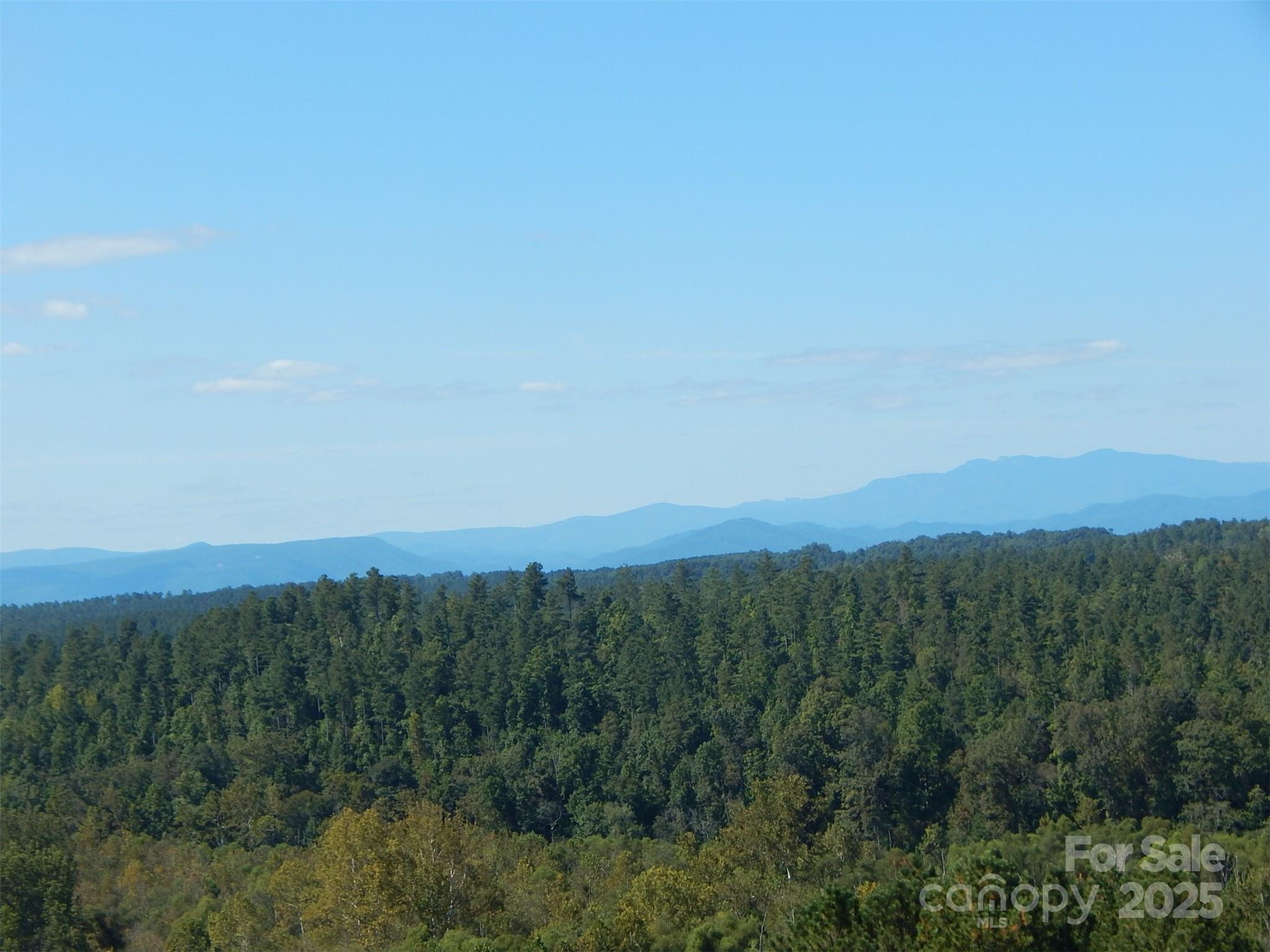 Lake Rhodhiss Estates - Land