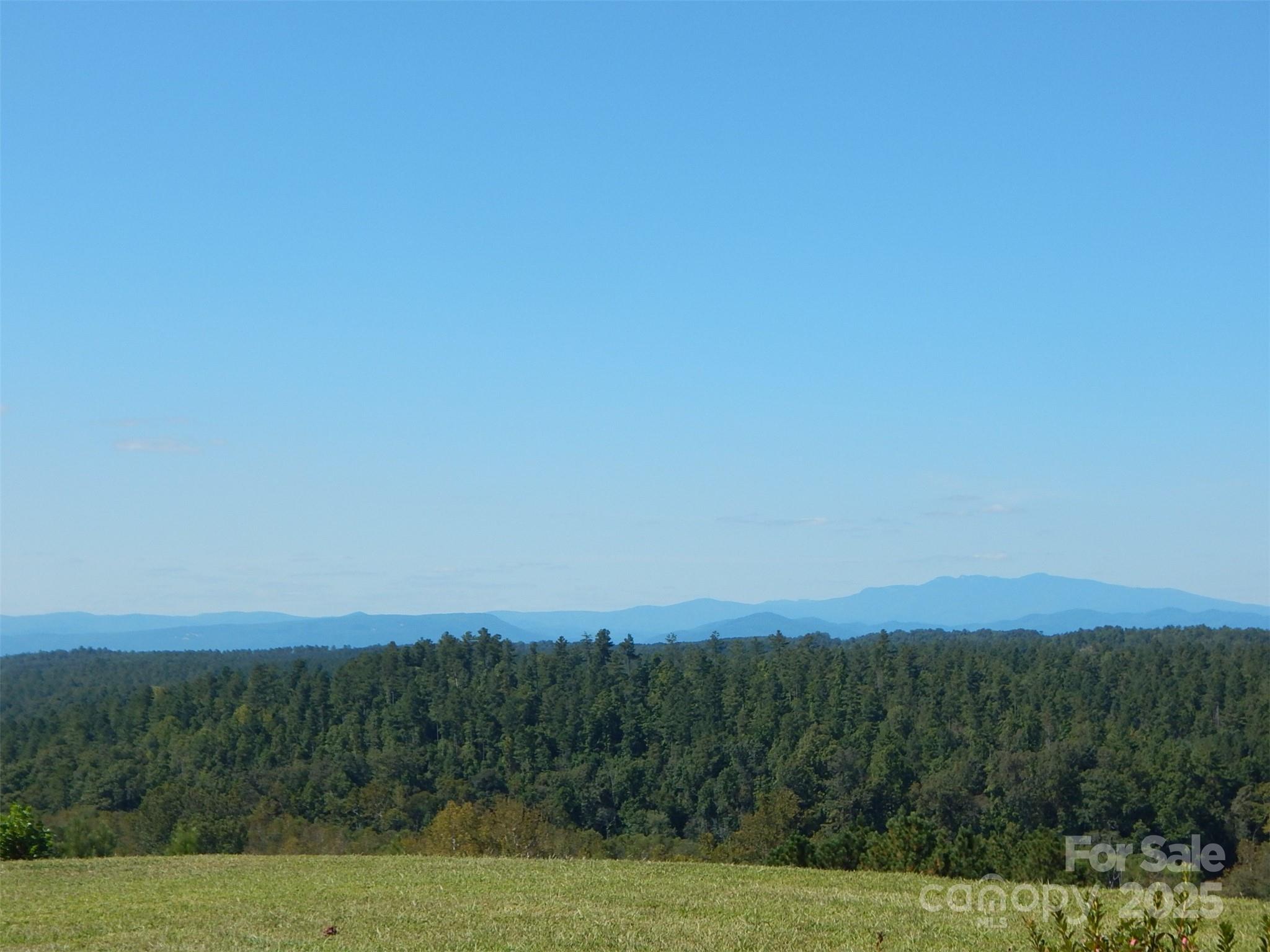 Lake Rhodhiss Estates - Land