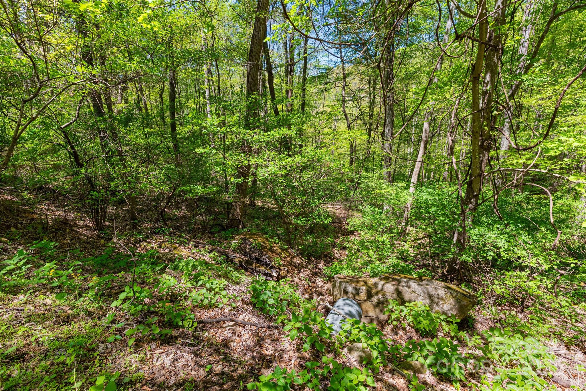 Mountain Park - Land