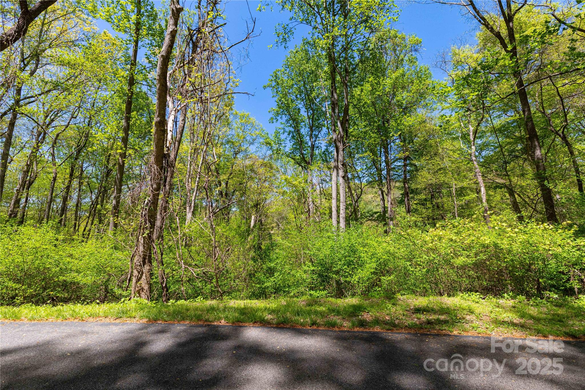 Mountain Park - Land