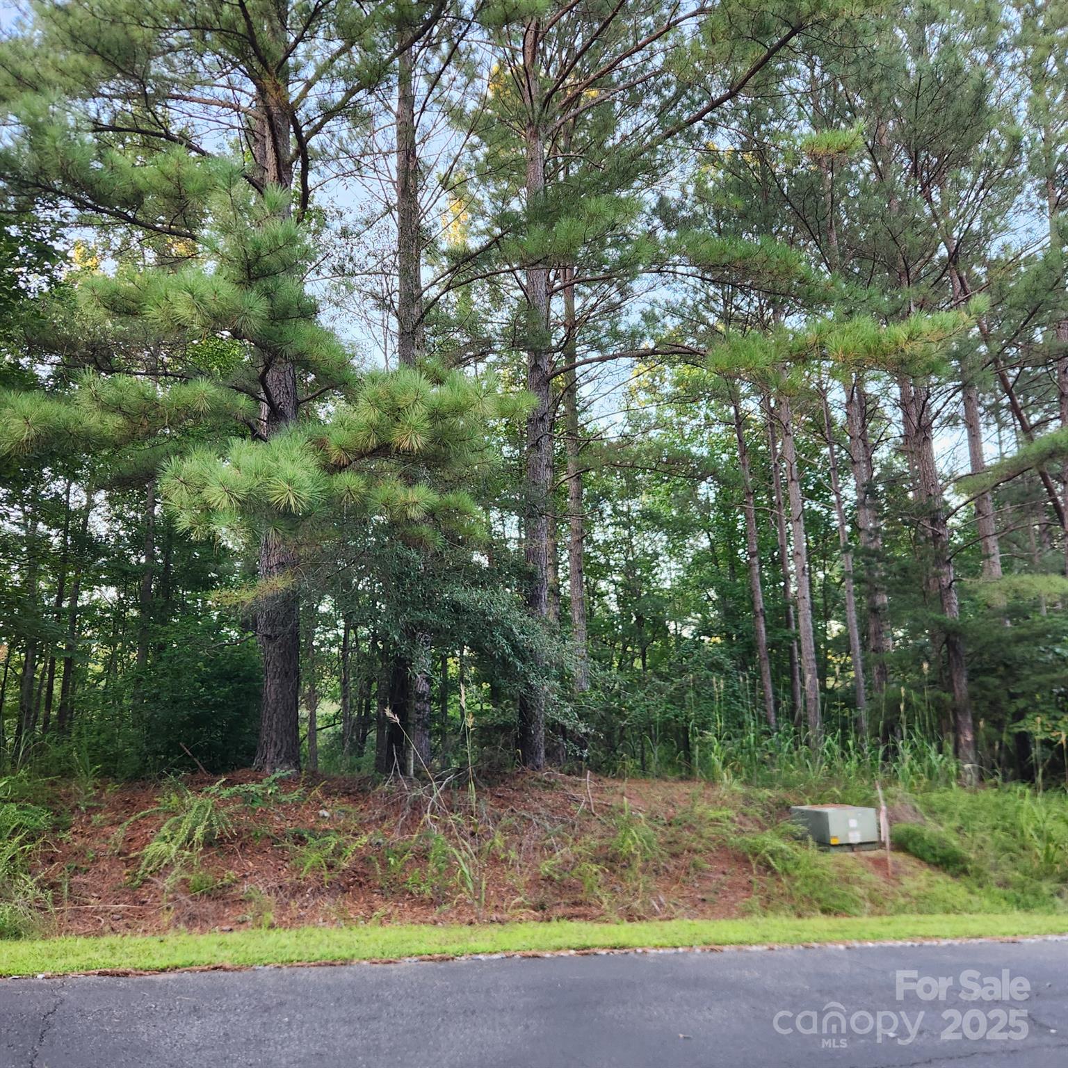 Broad River Highlands - Land
