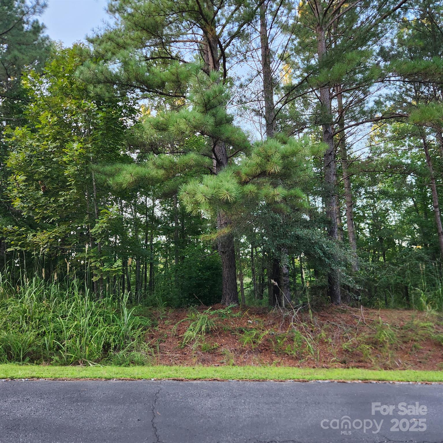 Broad River Highlands - Land