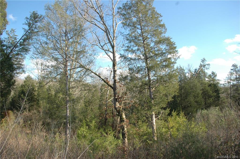 Clarendon Estates - Land