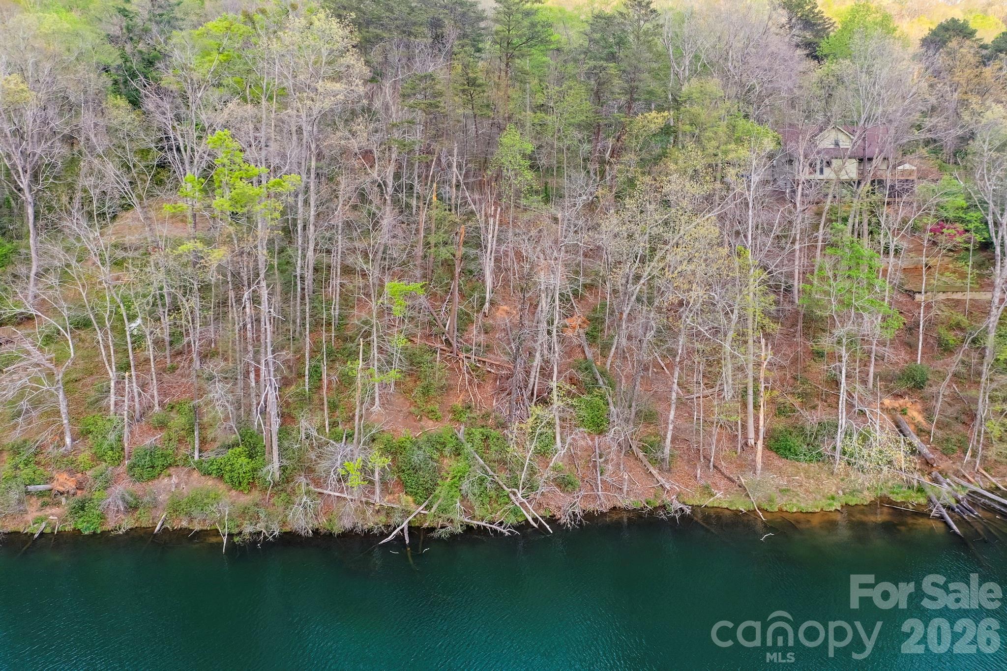 Rumbling Bald on Lake Lure - Land