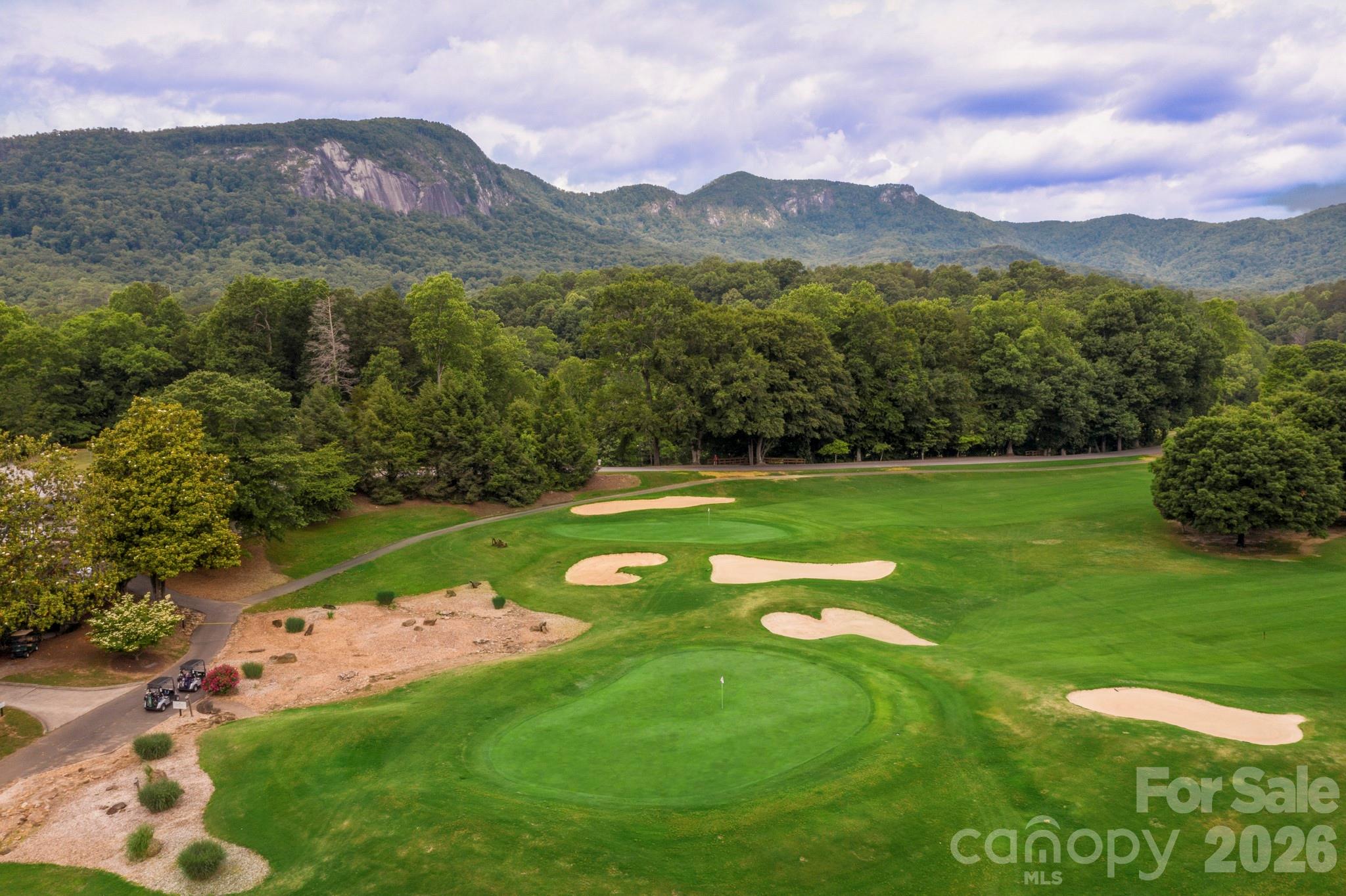 Rumbling Bald on Lake Lure - Land