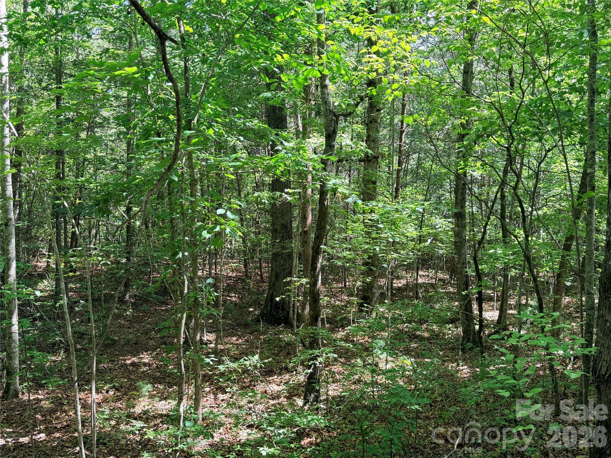 Nothing But Nature - Land