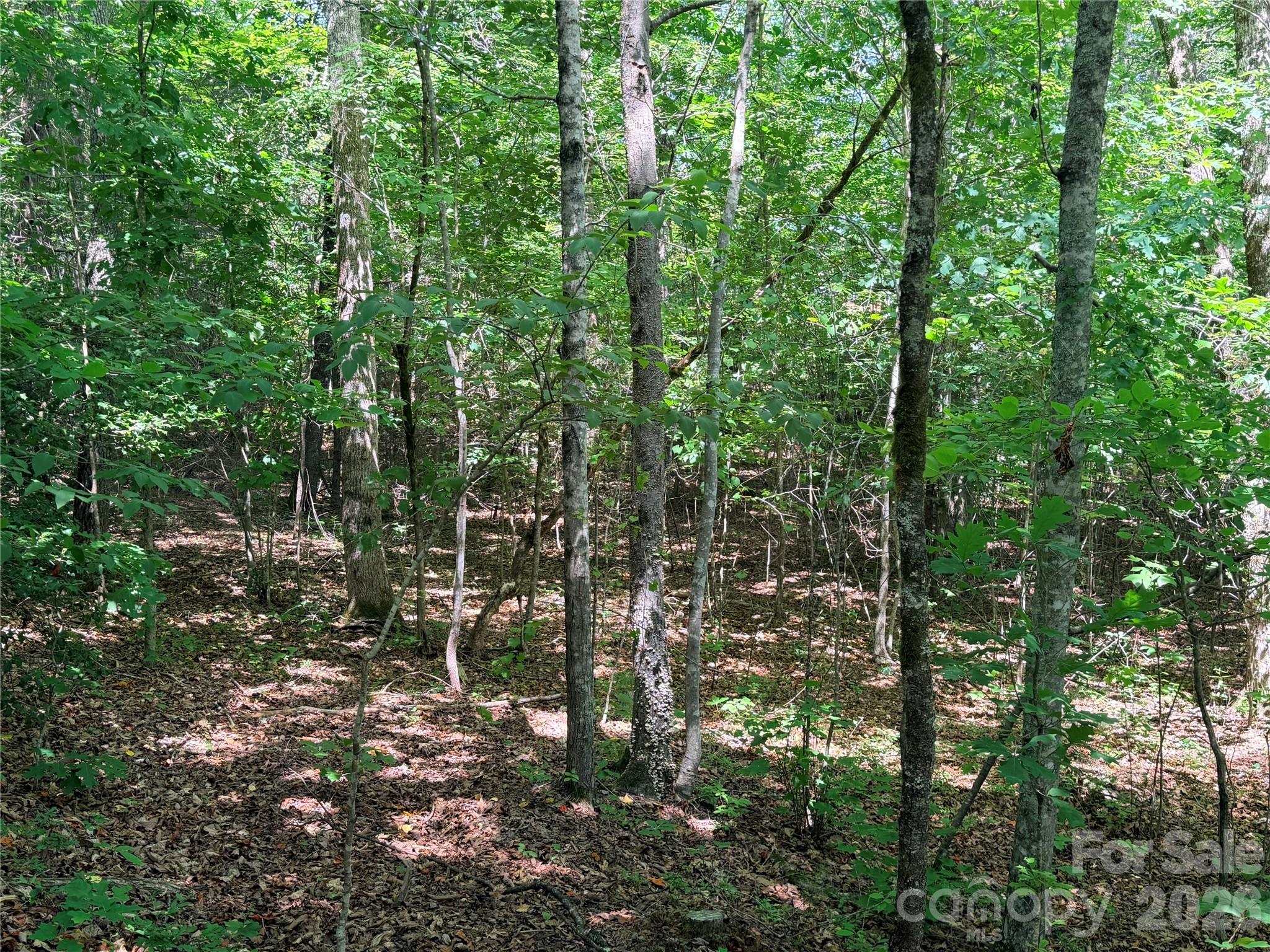 Nothing But Nature - Land