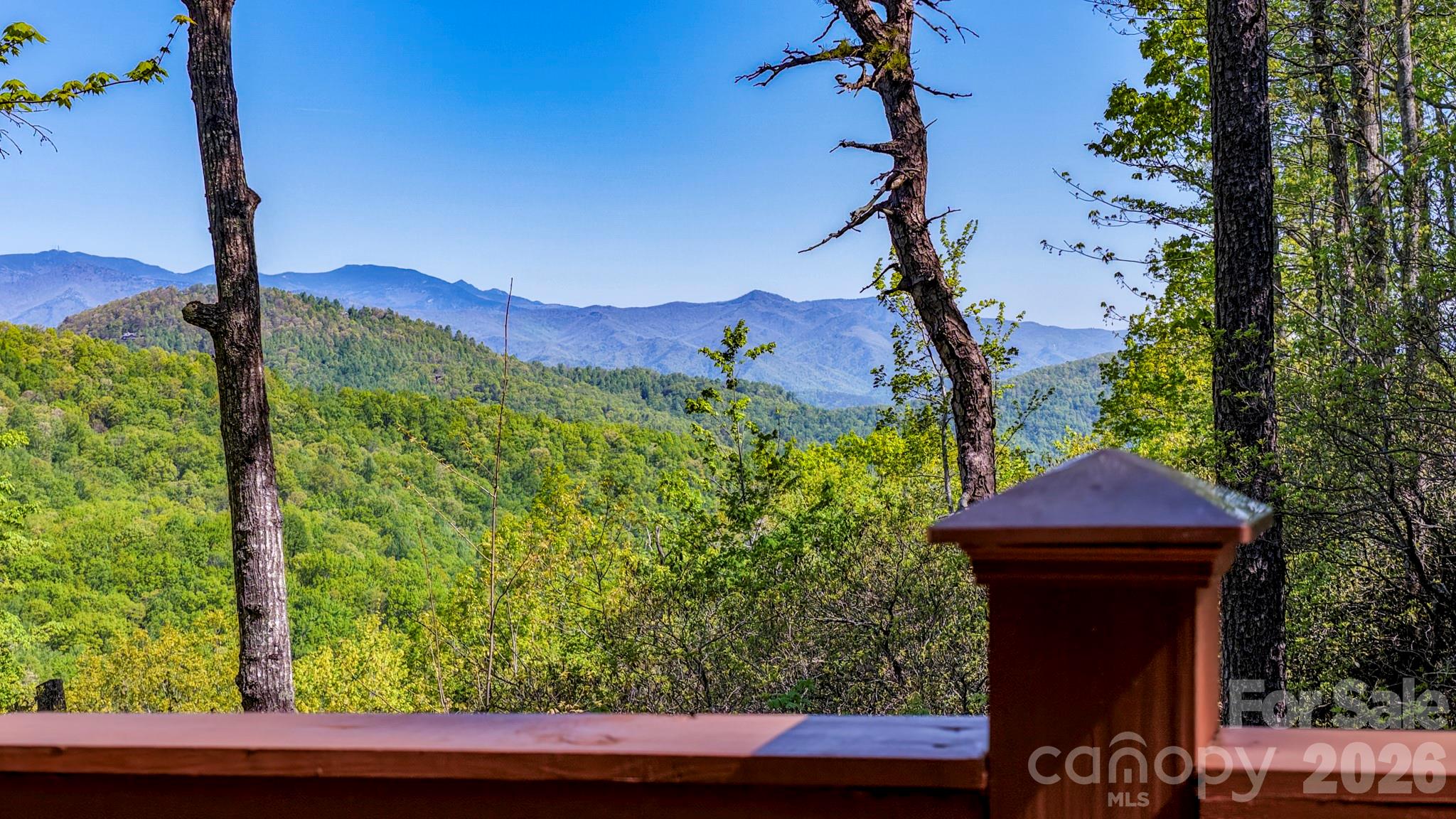 Laurel Mountain Preserve - Residential
