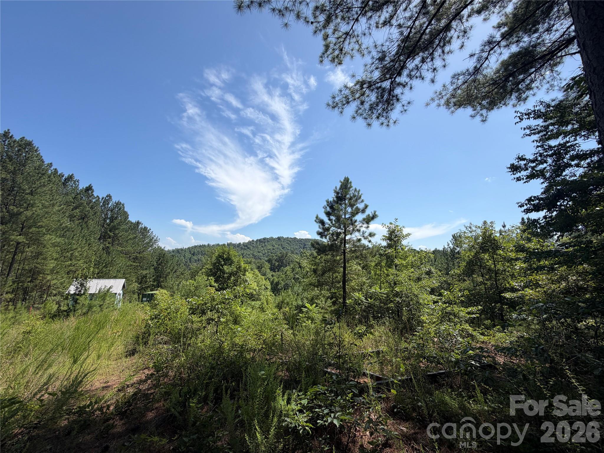 High Lodges at Otter Creek - Land