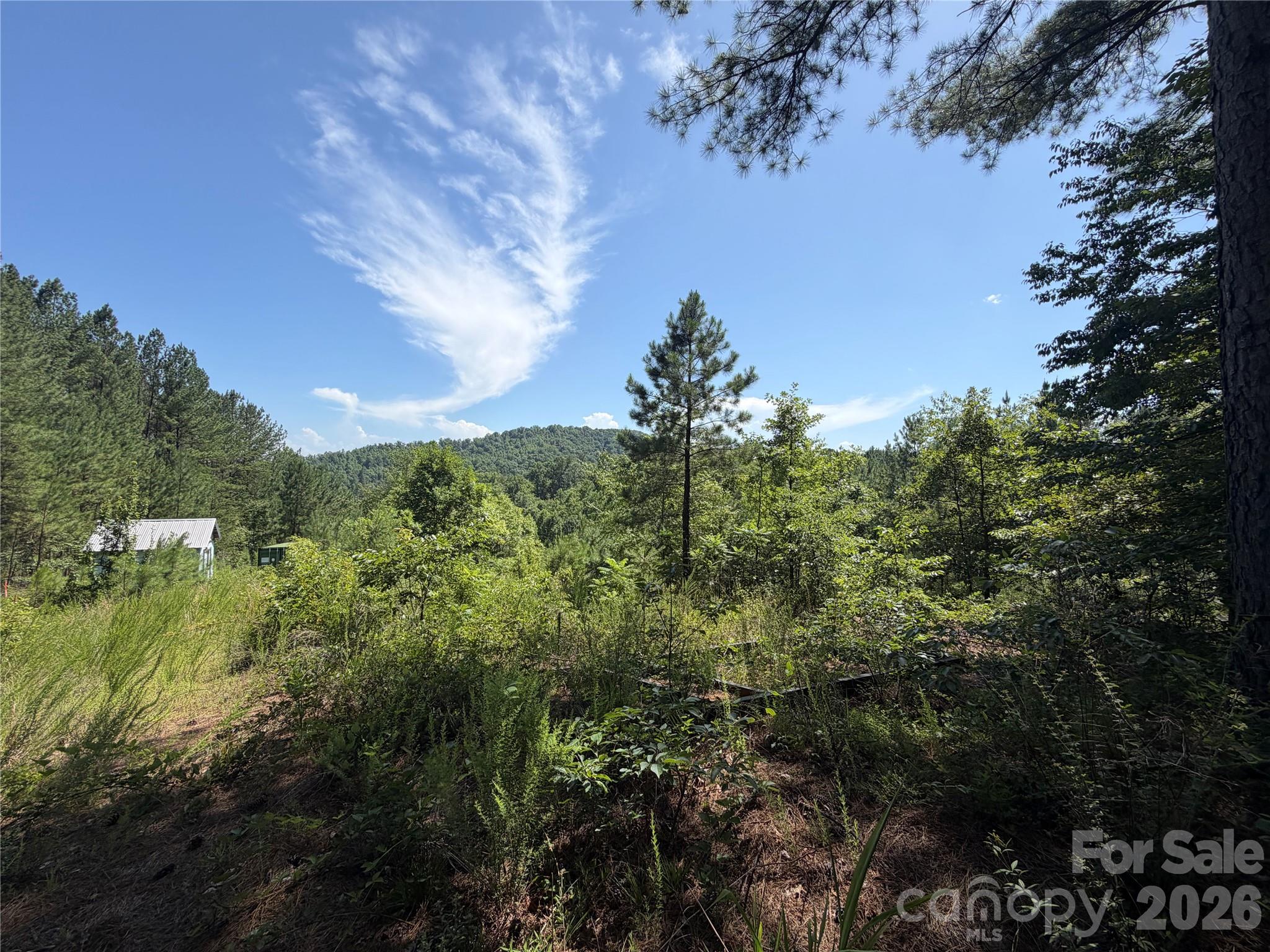High Lodges at Otter Creek - Land