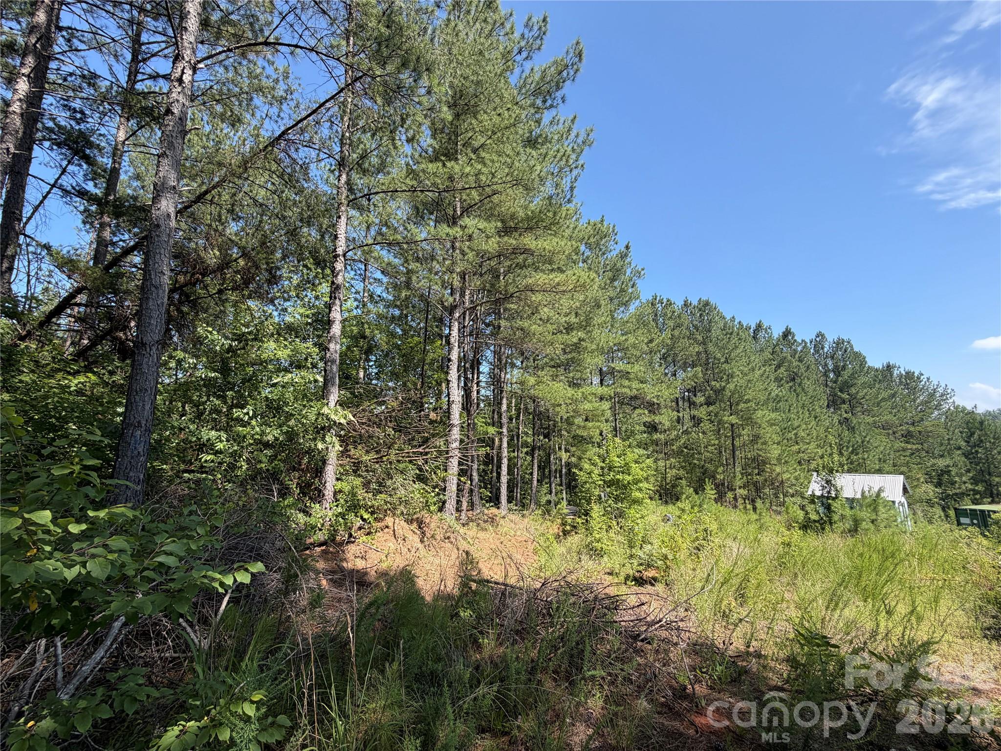 High Lodges at Otter Creek - Land