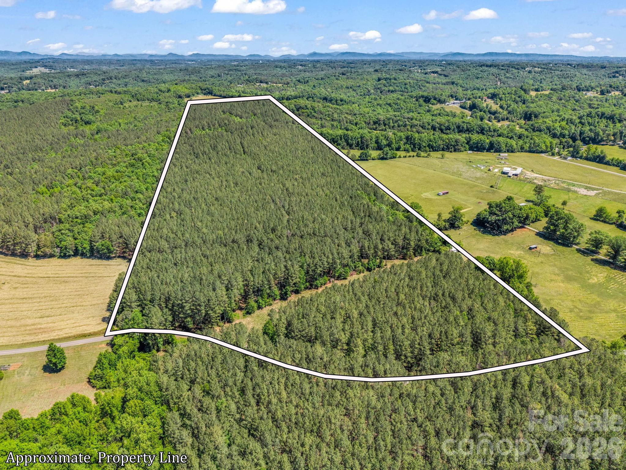 Discover 57.4 surveyed acres of mature pine and hardwood forest with a network of private, maintained trails ideal for riding, hiking, and hunting. Enjoy easy access from a county-maintained paved road while still feeling completely tucked away in nature. With no deed restrictions and only standard county zoning in place, this property offers flexible multiple-use possibilities—recreational retreat, homestead, timber, or future development. Possibilities are truly unlimited.

The property is just 14 minutes to the Tryon International Equestrian Center and 5 minutes to Cleghorn Golf Club and resort.  The convenience factor to necessary amenities  from this property is paramount.  Build the dream home on a quiet and peaceful property where only you decide the limits.