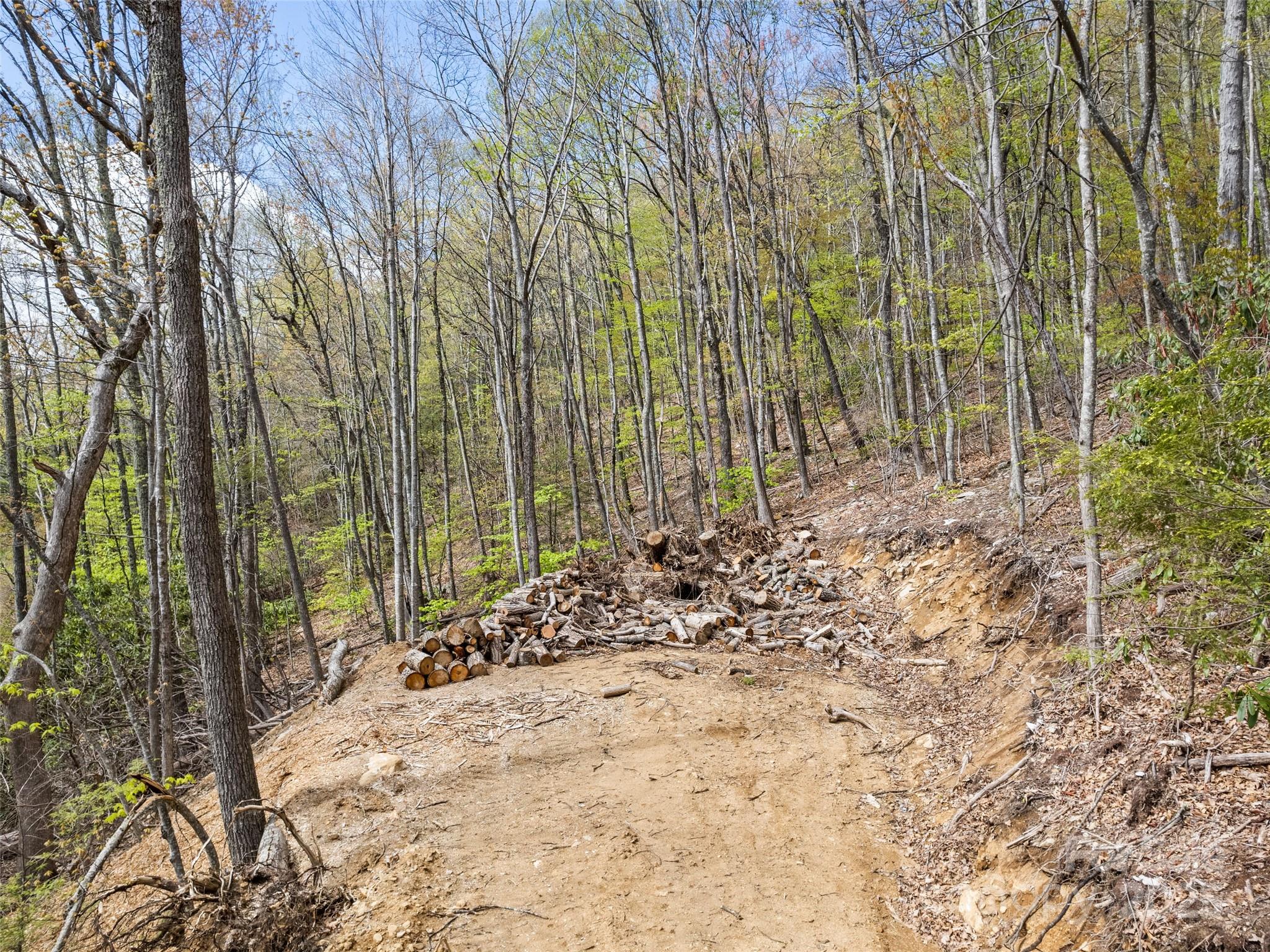Smoky Mountain Retreat at Eagles Nest - Land