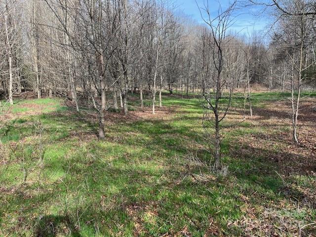 Here is your chance to own a beautiful flat 3.32 acre building lot that is convenient to just about anywhere. Lots like this are getting hard to find so if you're looking for a great spot to build your dream home that's close to everything stop right here you have found it. This one won't last long. Call or text me today.