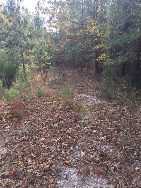 Build or bring in your home! 2 acre rural lot. Located on Black Hwy and minutes from I-85.
Can be easily rezoned to RUD to allow for mobile homes.