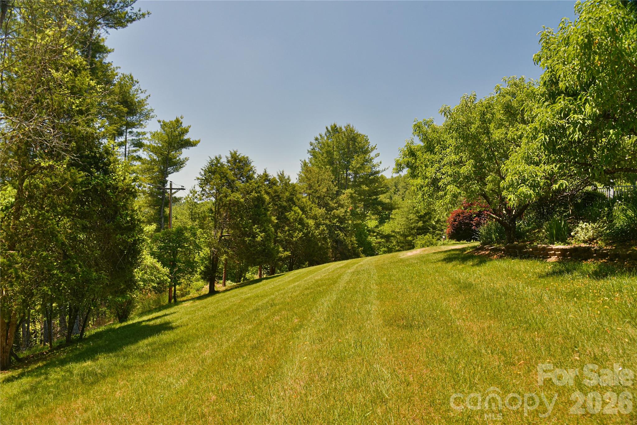 Forest Ridge Estates - Residential