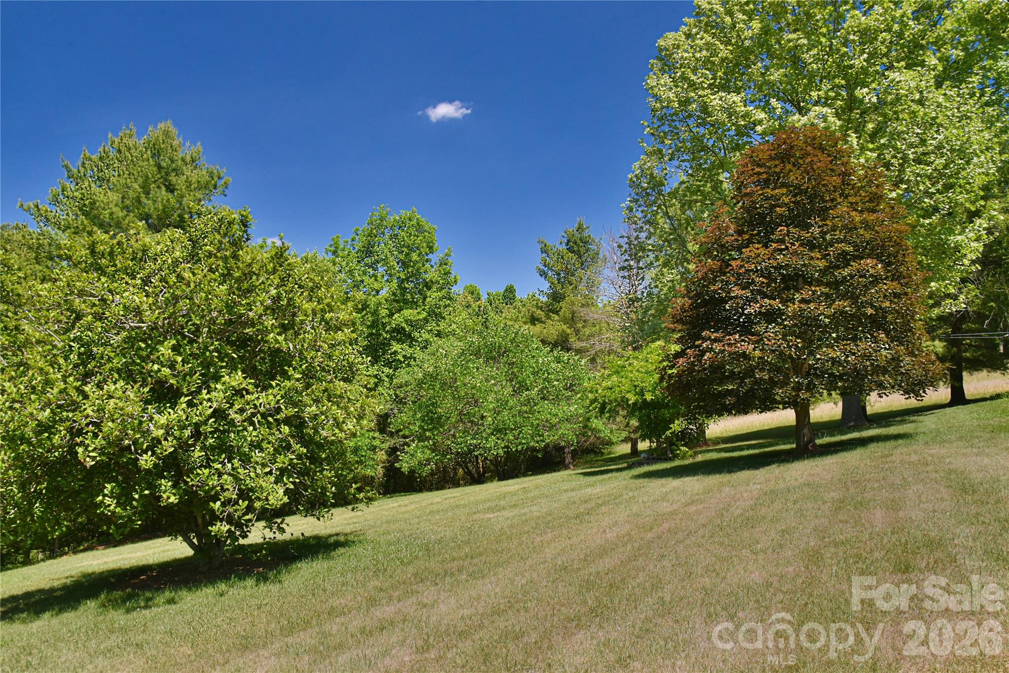 Forest Ridge Estates - Residential