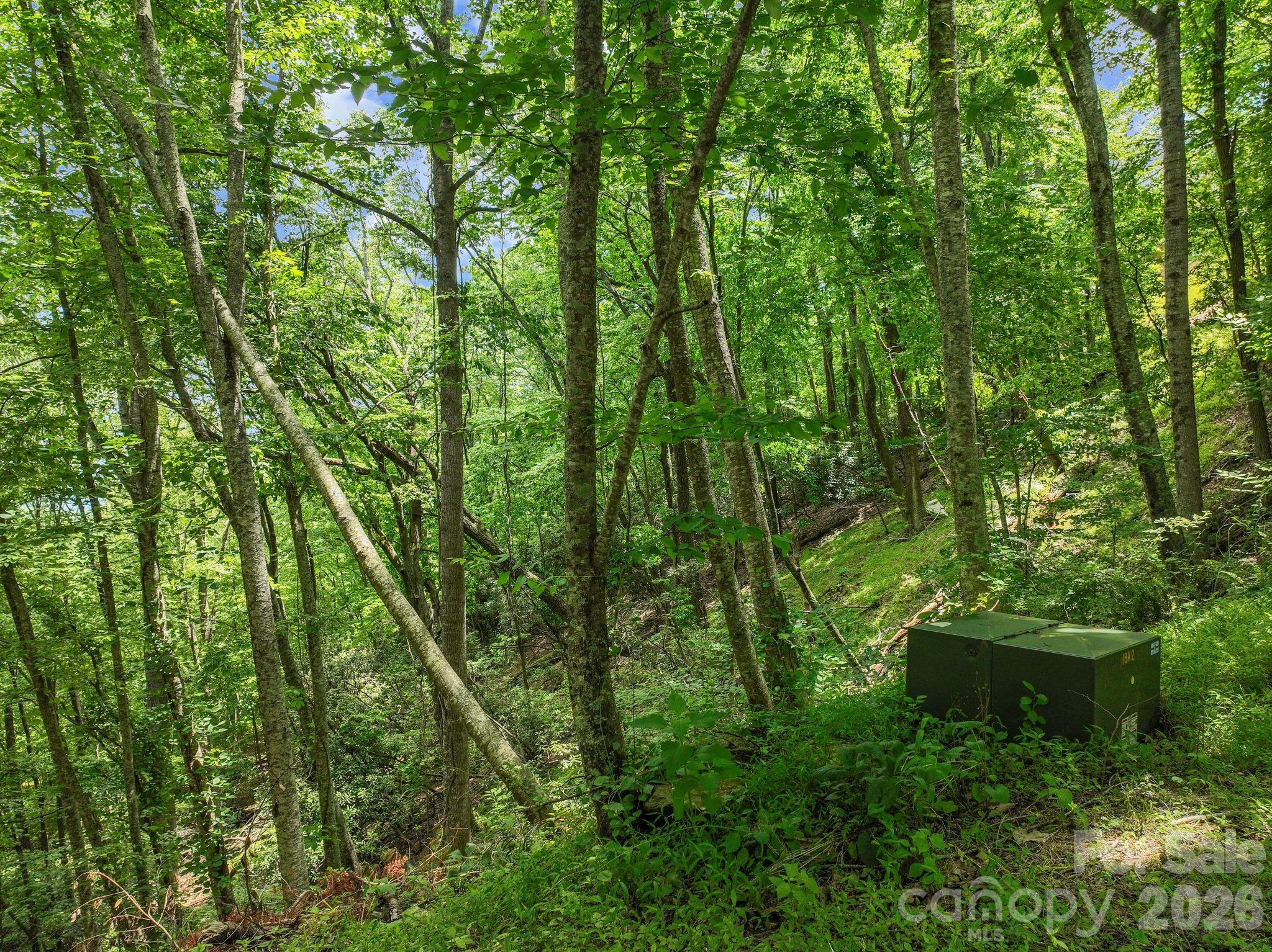 High Vista Falls - Land