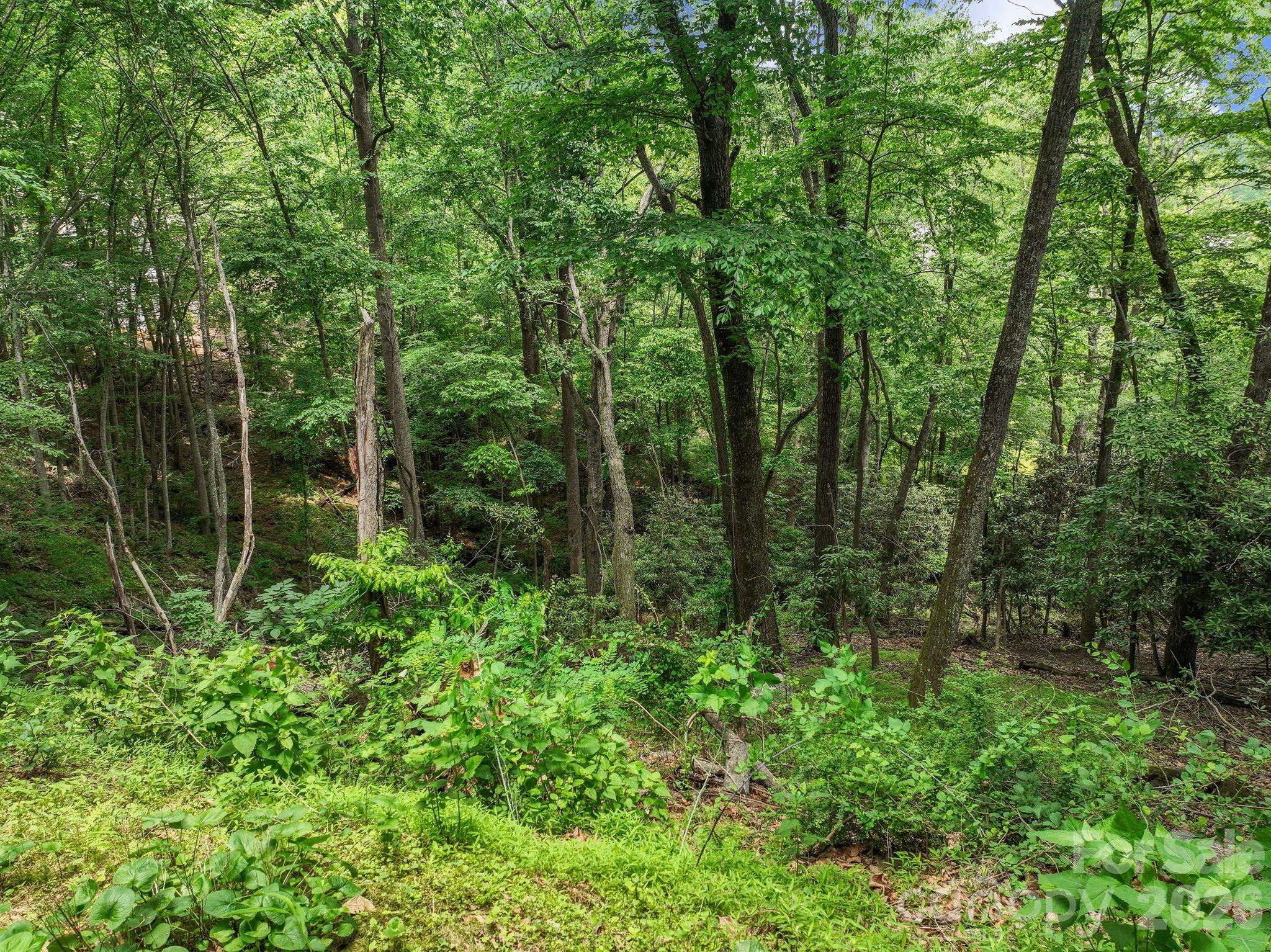High Vista Falls - Land