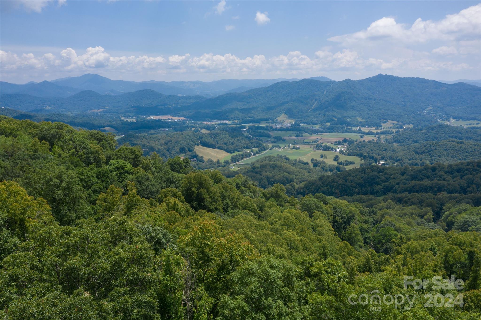 Here is your chance to purchase your own small development! With 8 lots (1 was originally tagged as a common area), roads in place, and nice mountain views on most home sites this could be perfect for a family compound, private estate, or subdevelopment. Lot 4 has been cut out for a foundation/home and the engineering plans for that lot are available. The covered bridge and gated entry provide the privacy that most desire. Centrally located in Haywood County, the land is located just 10 minutes to Maggie Valley and 15 minutes to Waynesville. I-40 is close for quick access to Asheville or Tennessee. This former subdivision has restrictions referenced on the deed but there is no formal HOA and no enforcement of any restrictions. The owner would consider owner financing. Easy access off of state-maintained Pot Leg Road.