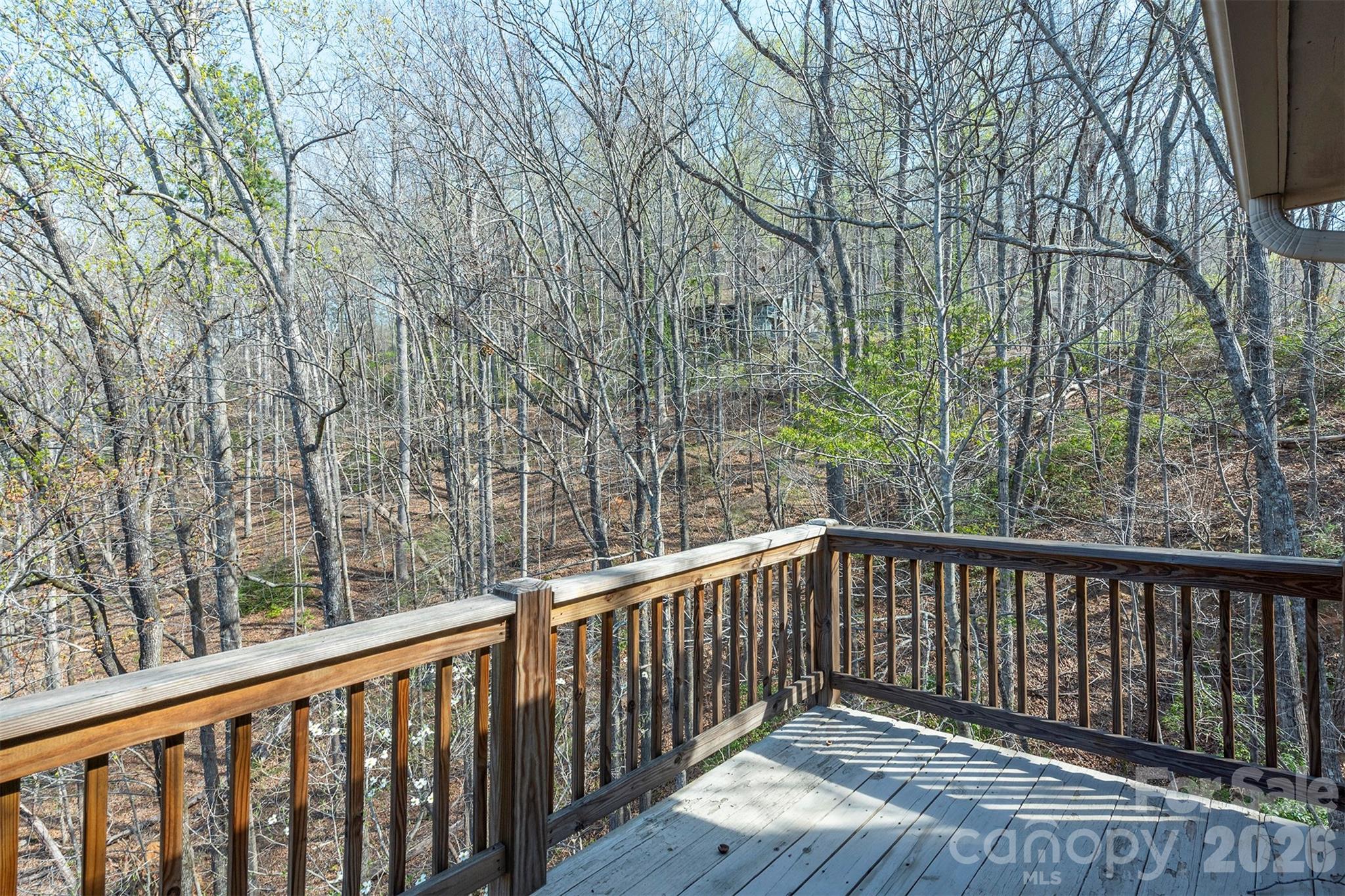Rumbling Bald on Lake Lure - Residential