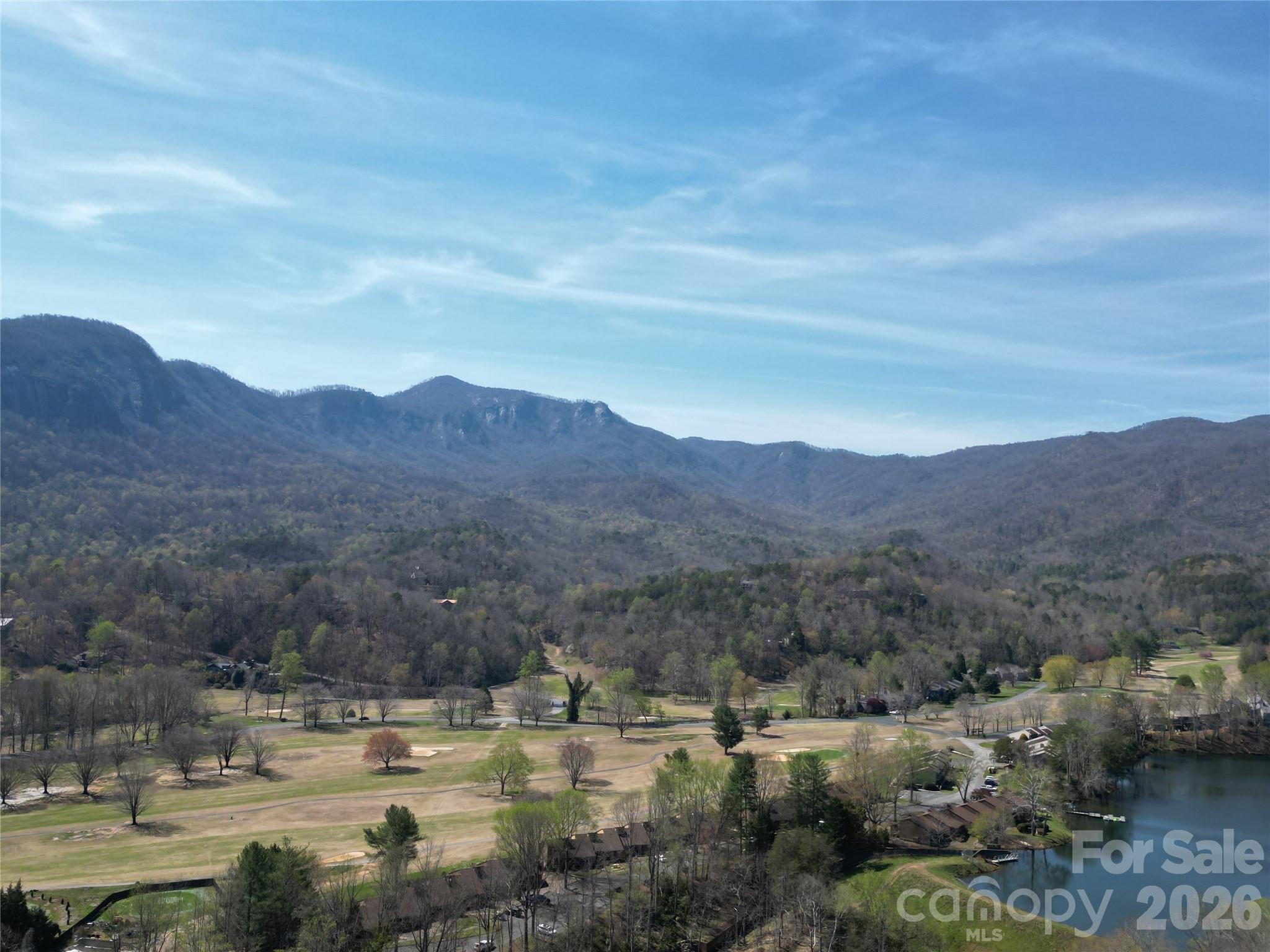 Rumbling Bald on Lake Lure - Residential