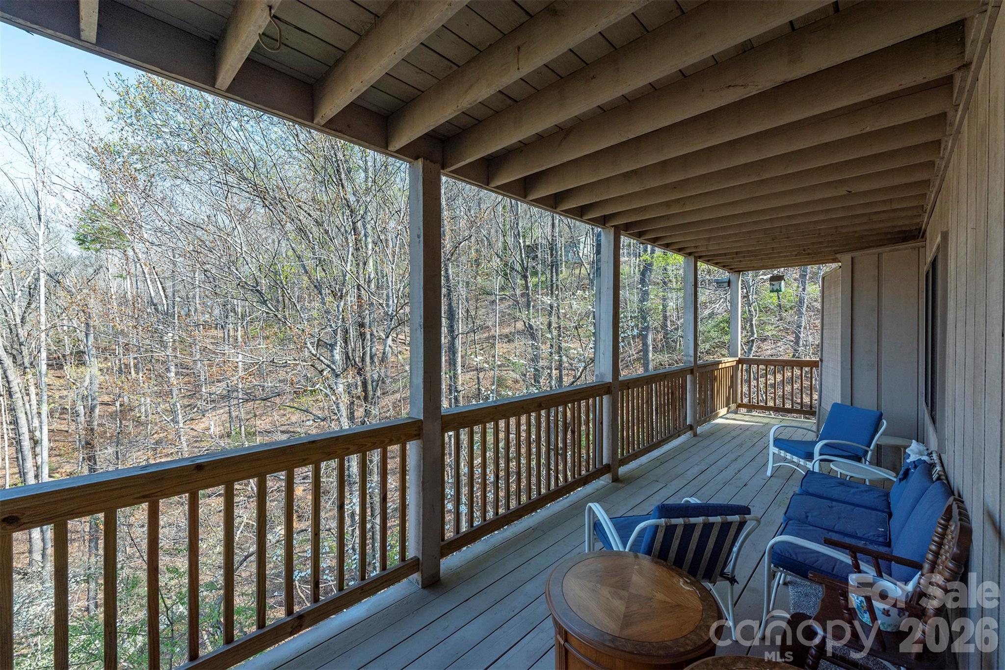 Rumbling Bald on Lake Lure - Residential