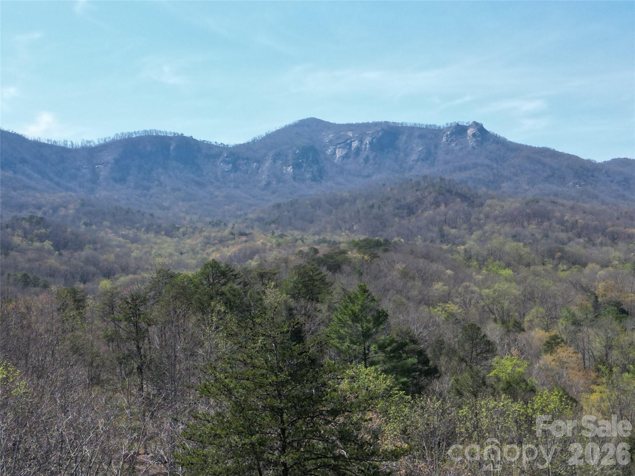 Rumbling Bald on Lake Lure - Residential