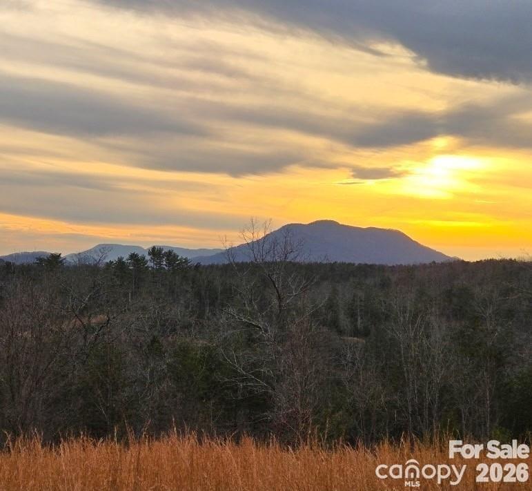 LOT #1: 2.79 acres! What a special place. Mountain views, easy living and privacy and 6 miles from TIEC. Welcome to Price Summit Way; a collection of 3 outstanding, mountain view lots in the Blue Ridge Foothills of popular Polk County NC. Seller obtaining septic perc test & well permit;  and homesite preparation is ready to offer new Owner a headstart for building right away!  NO HOA and freedom to build your vision. No minimum s.f requirement (check county building codes and requirements). Property offers open space and plenty of shade and privacy, with room for your animals, horses, chickens, garden, & other. Relax in the peaceful setting with the private dead-end road shared only with the 3 lot owners.  Want a getaway place for the horse show season or family gatherings or create a short term rental opportunity? Want a tiny home or cabin or homestead? Get your BIG view, open space, easy road frontage AND mature wooded areas all in one place. Horse enthusiasts, have your horse at home or possibly board your horse with Seller, only 2 min away, and use the almost 230+ acres of private on-site bridle trails.  PLUS property owner is eligible to join the 135+ mile FETA trail system.  Restrictions are reasonable: No subdividing, no manufactured homes, some tree restrictions, no light pollution. All lots will participate in a shared road maintenance agreement and horse trail easement as shown in Agent Attachments.  ACCESS TO PROPERTY BY APPOINTMENT ONLY.  Owner financing & more land may be available.