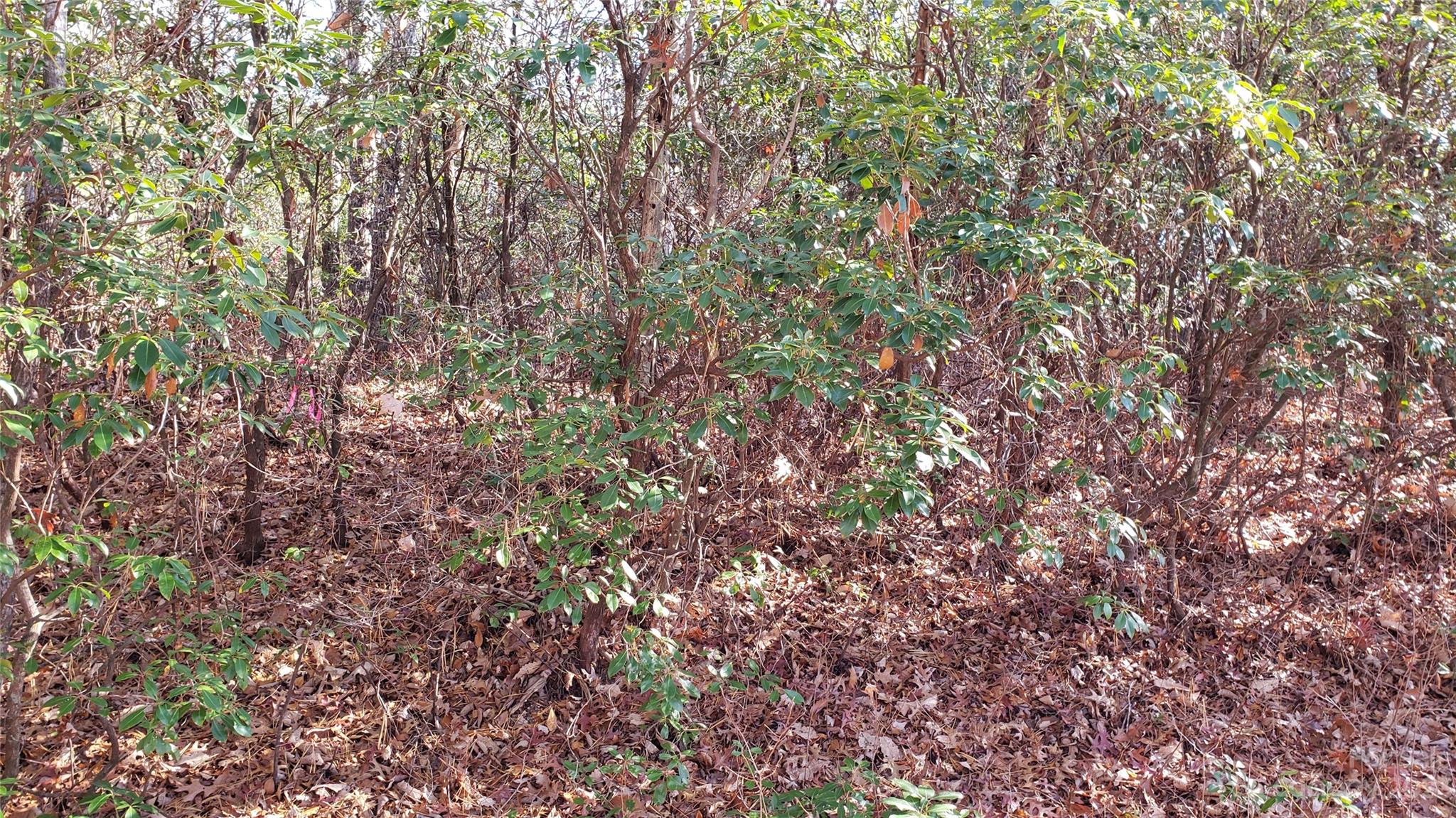 Sequoyah Woods - Land