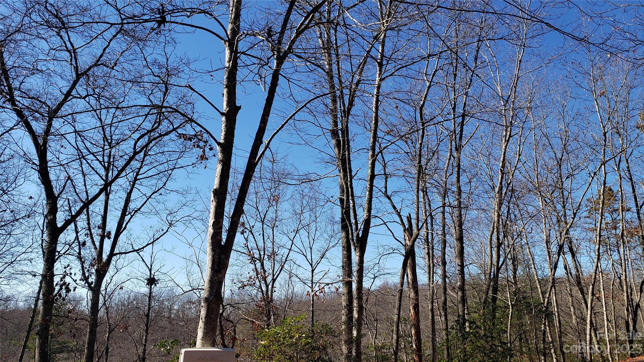 Sequoyah Woods - Land