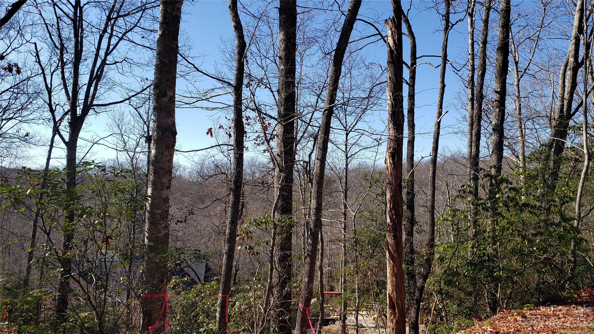 Sequoyah Woods - Land