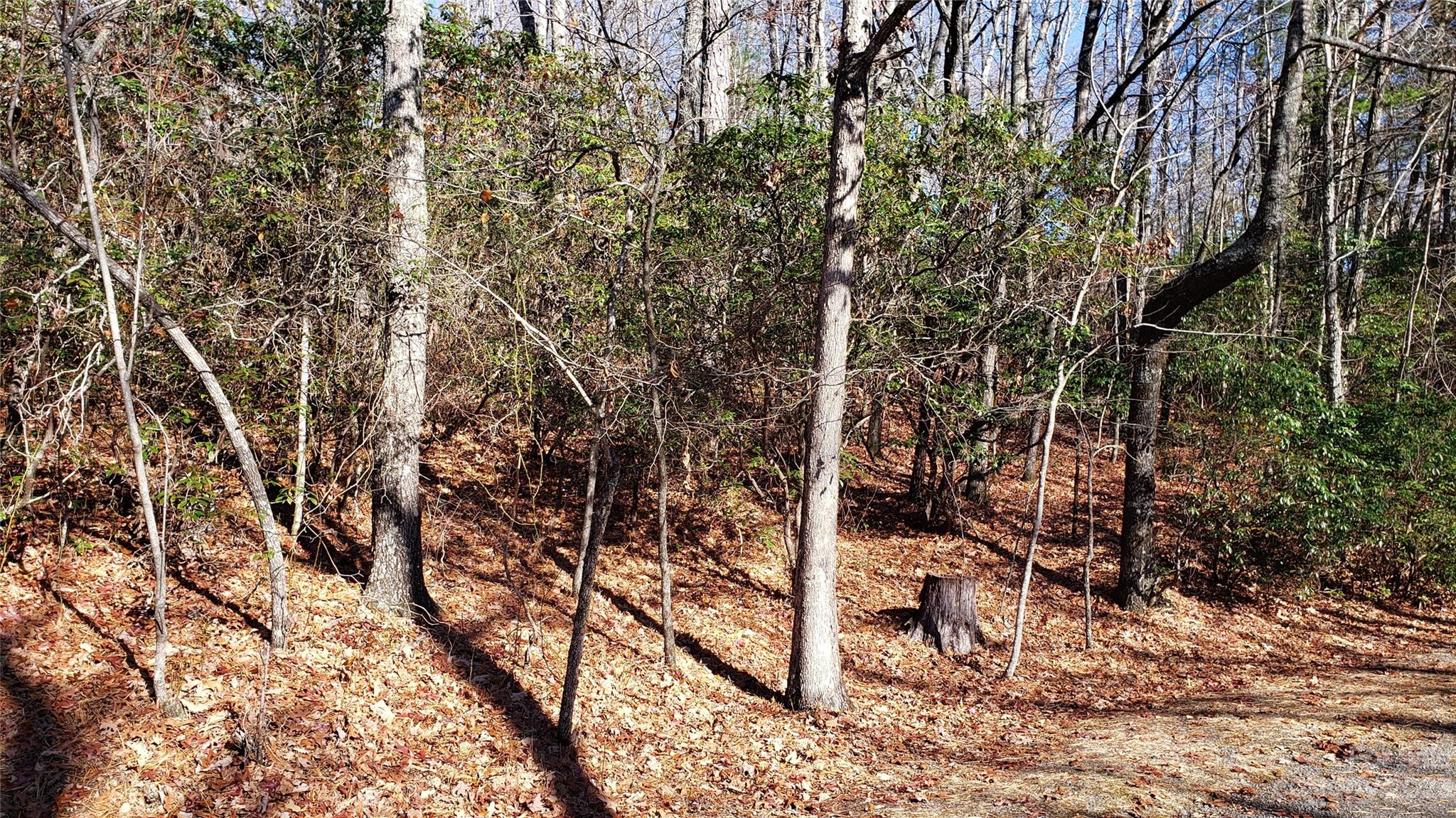 Finally a fantastic wooded lot with easy access to a potential build site. This gentle slope rises up to a level area which lends itself for an uncomplicated build in this private community. Lovely winter views of the mountains across the way. The south western slope will ensure lots of light and memorable sunsets. Sequoyah Woods is a well placed community near Dupont State Forest, Cesar's Head and an easy drive to downtown Brevard. It has a lovely private lake with a community dock and storage for your kayak or canoe - the perfect place for recreation in the summer. Lovely lot in a lovely community. Here is your opportunity to build your dream home.