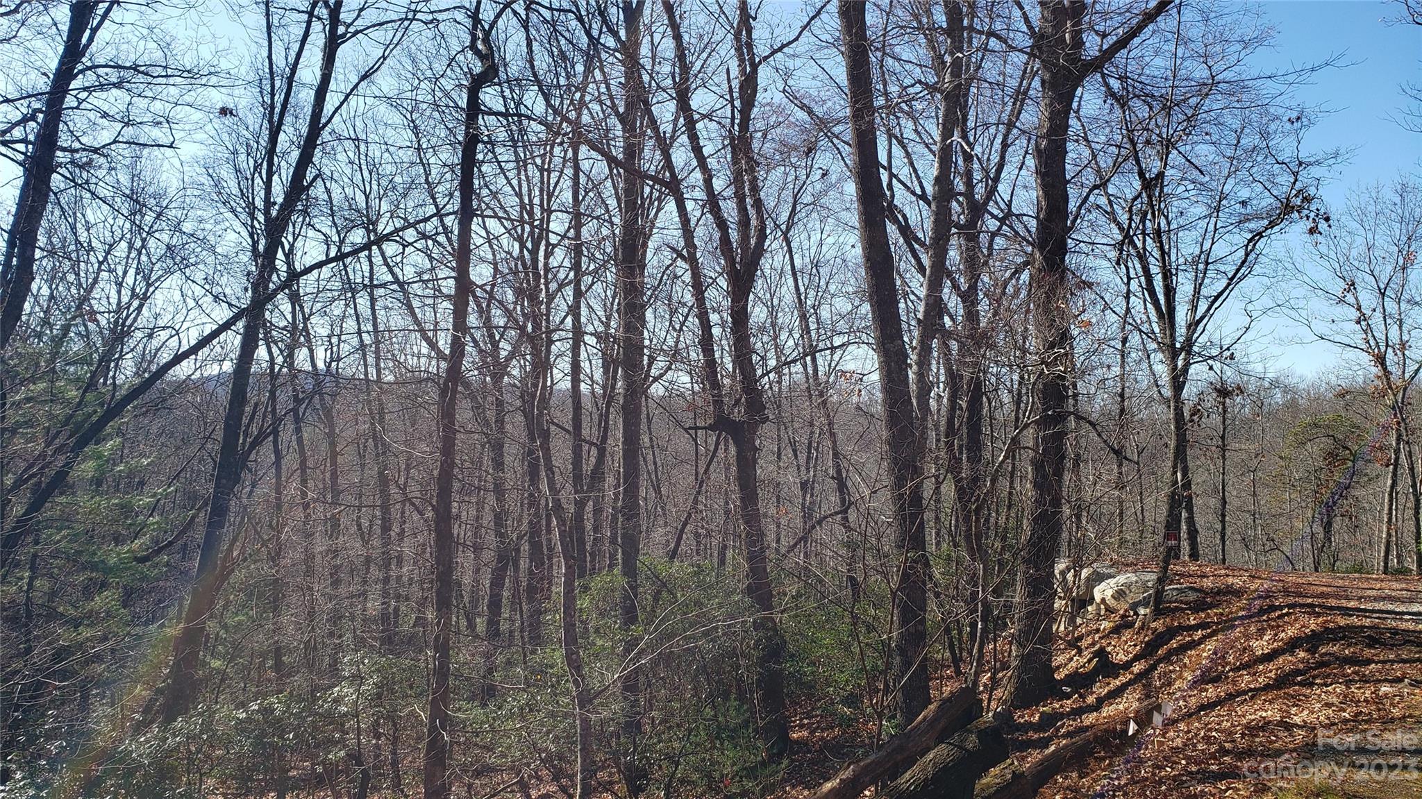 Sequoyah Woods - Land