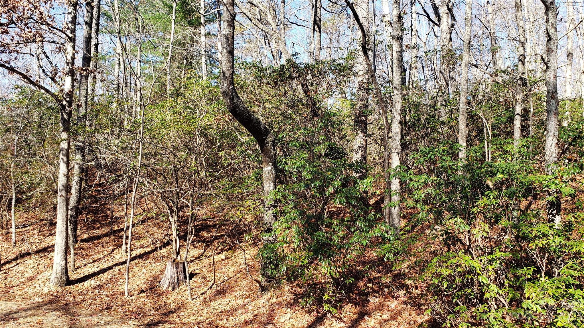 Sequoyah Woods - Land