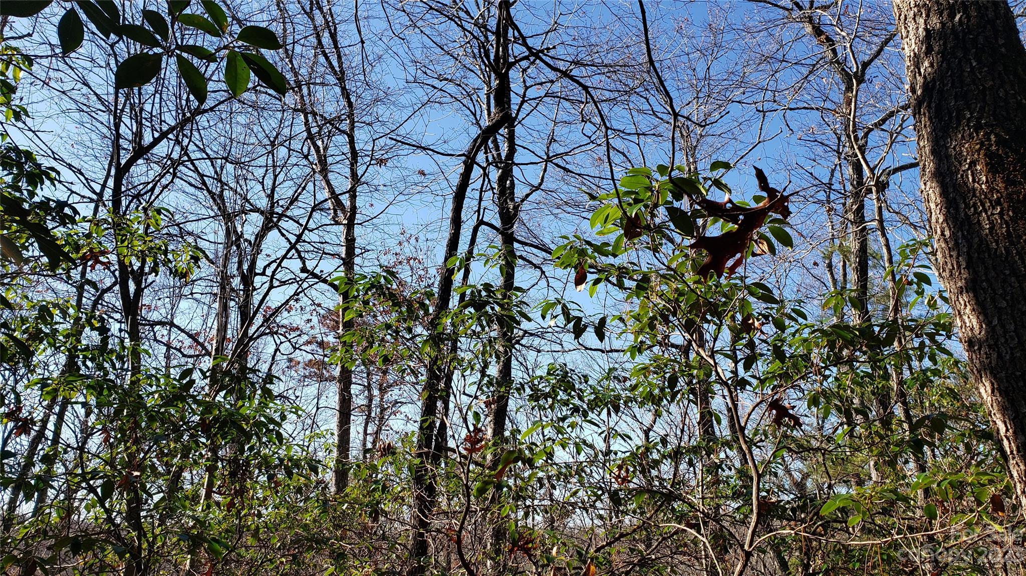Sequoyah Woods - Land