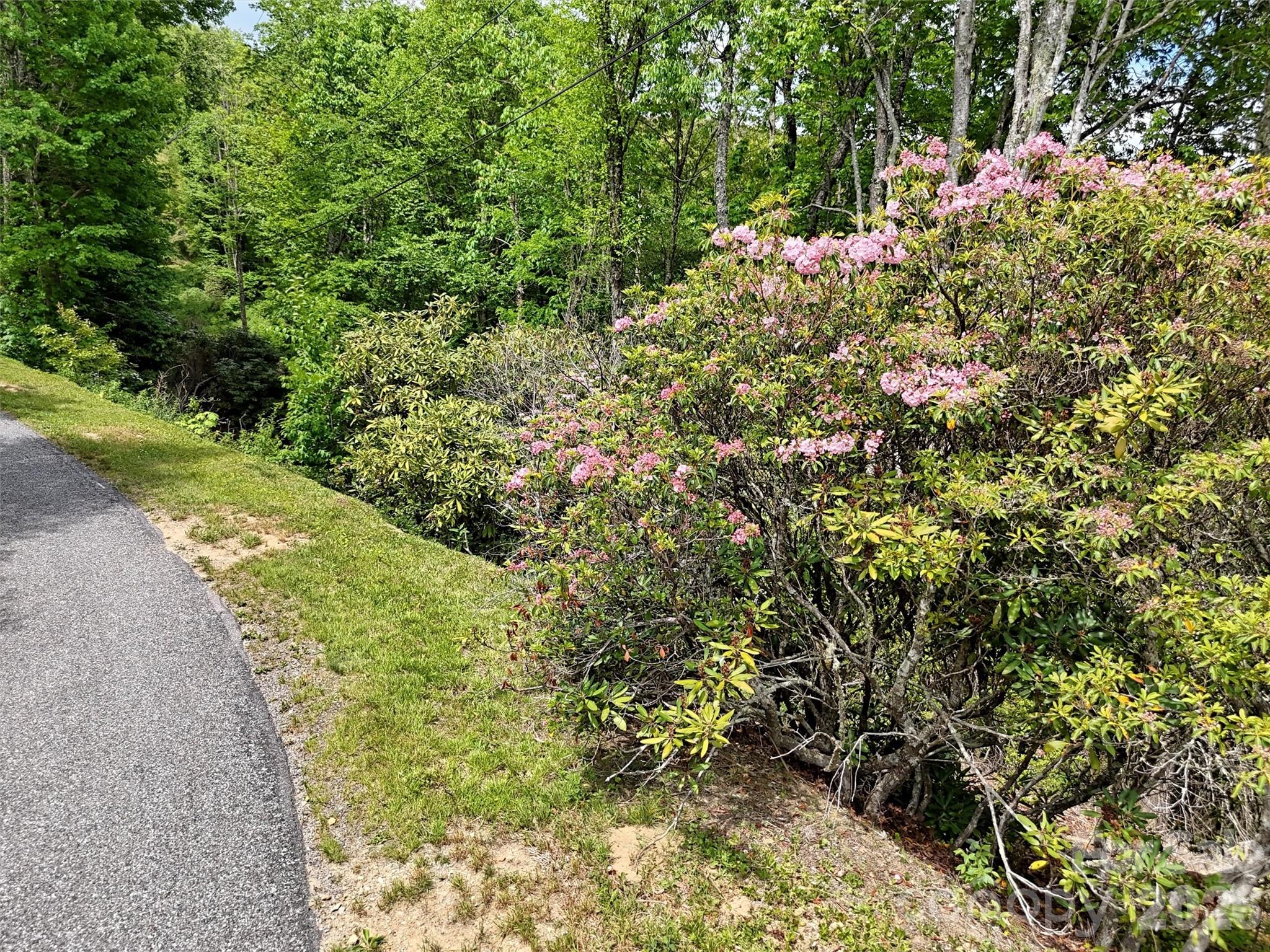 Laurel Heights - Land