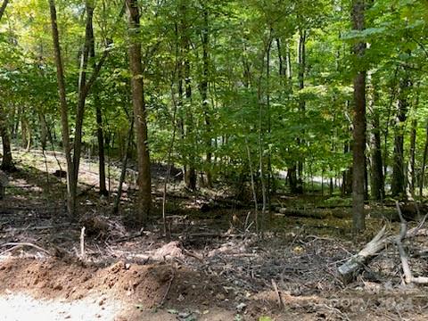 Smoky Mountain Retreat at Eagles Nest - Land