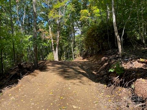 Gentle Slope, Easy Build, Long Range View, 2.4 Acres, City Water, Buried Utilities. Located in gated Smoky Mountain Retreat at Eagle's Nest. Driveway and House pad roughed in. Walkable lot.