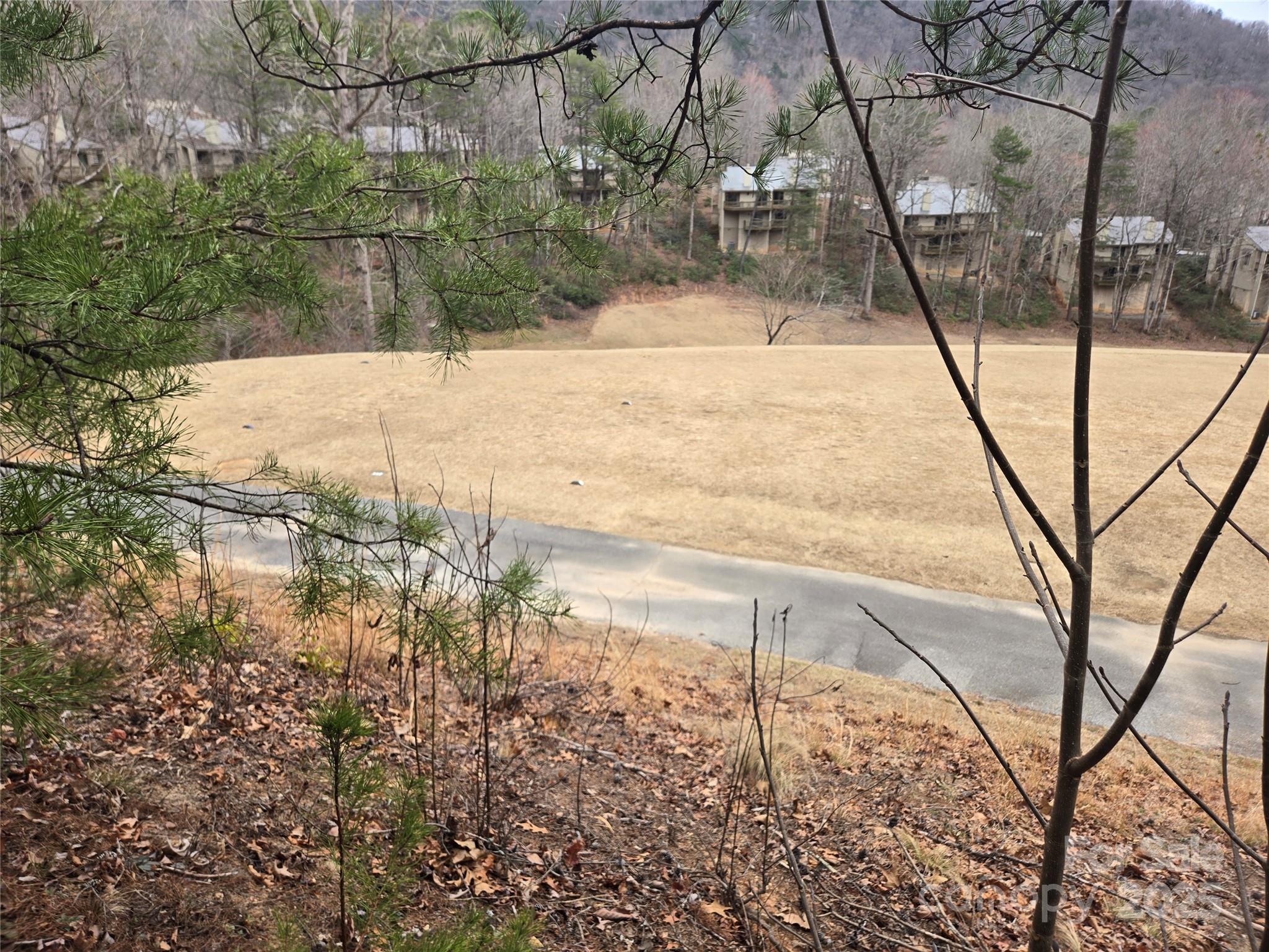 Rumbling Bald on Lake Lure - Land
