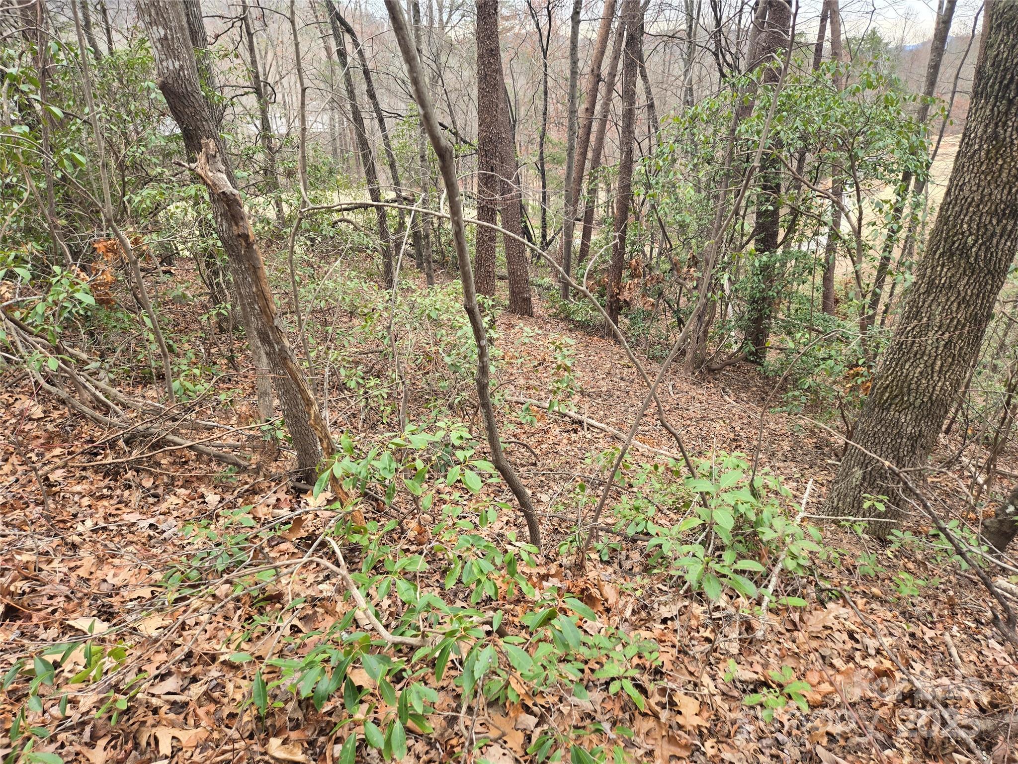 Rumbling Bald on Lake Lure - Land