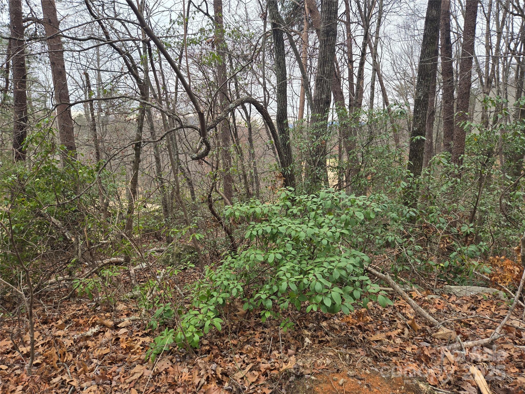 Rumbling Bald on Lake Lure - Land