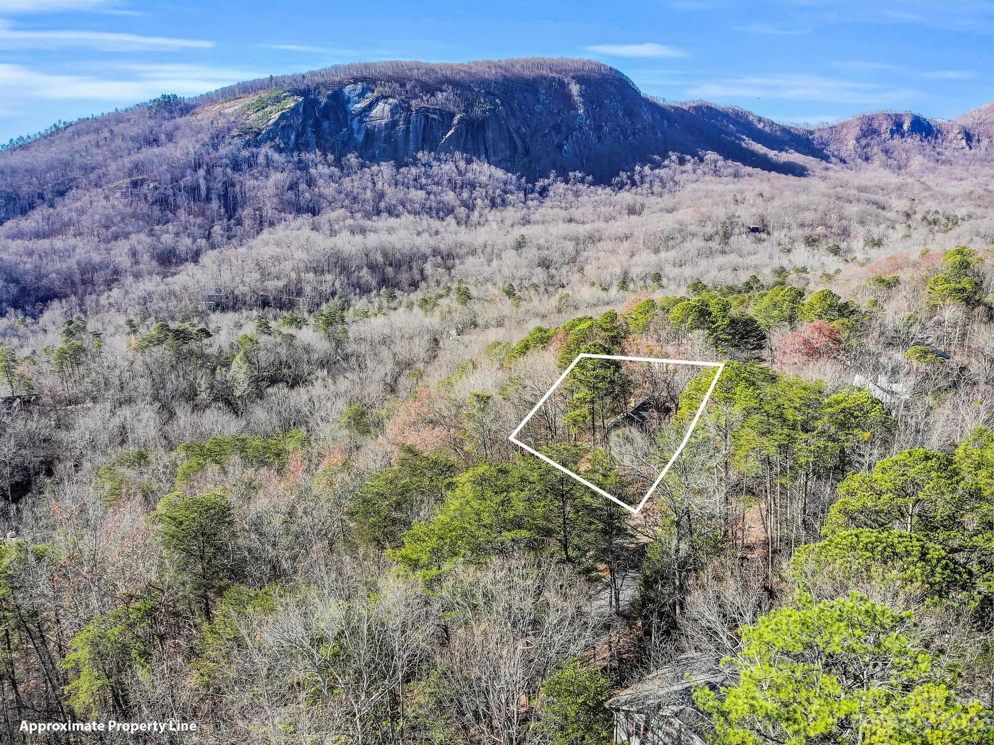 Rumbling Bald on Lake Lure - Residential