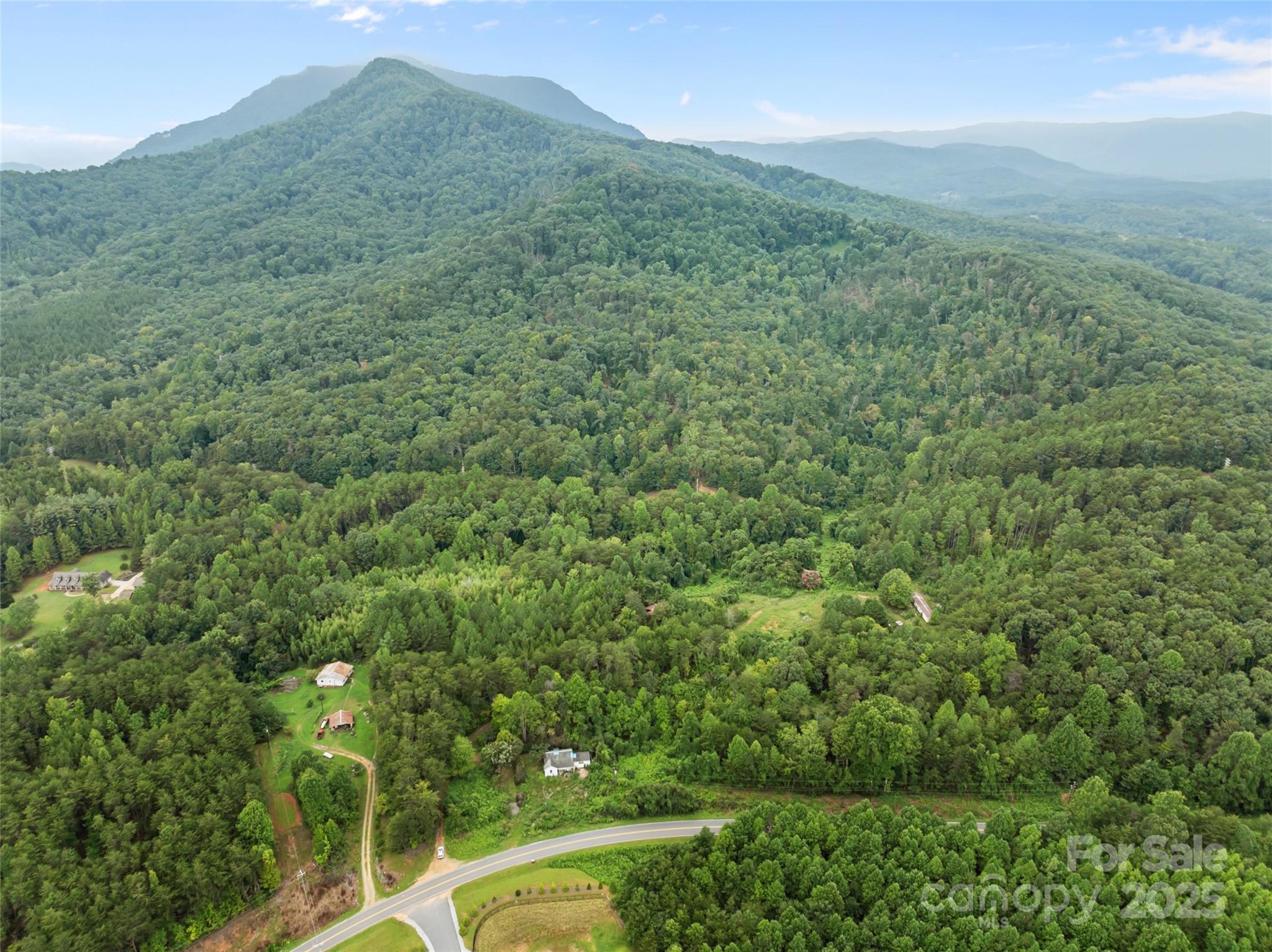 46 acres of opportunity in the heart of Polk County, NC! This versatile property offers endless possibilities—farm, private estate, recreational retreat, or future development. Conveniently located near the world-renowned Tryon International Equestrian Center, scenic Lake Adger, and all the charm of western NC living. The land features rolling terrain, wooded areas, and open spaces ready for your vision. Two wells are already in place along with existing structures that can be repurposed or cleared, giving you a head start on your plans. Enjoy privacy, natural beauty, and easy access to modern amenities while surrounded by mountain views and outdoor adventure. Call today