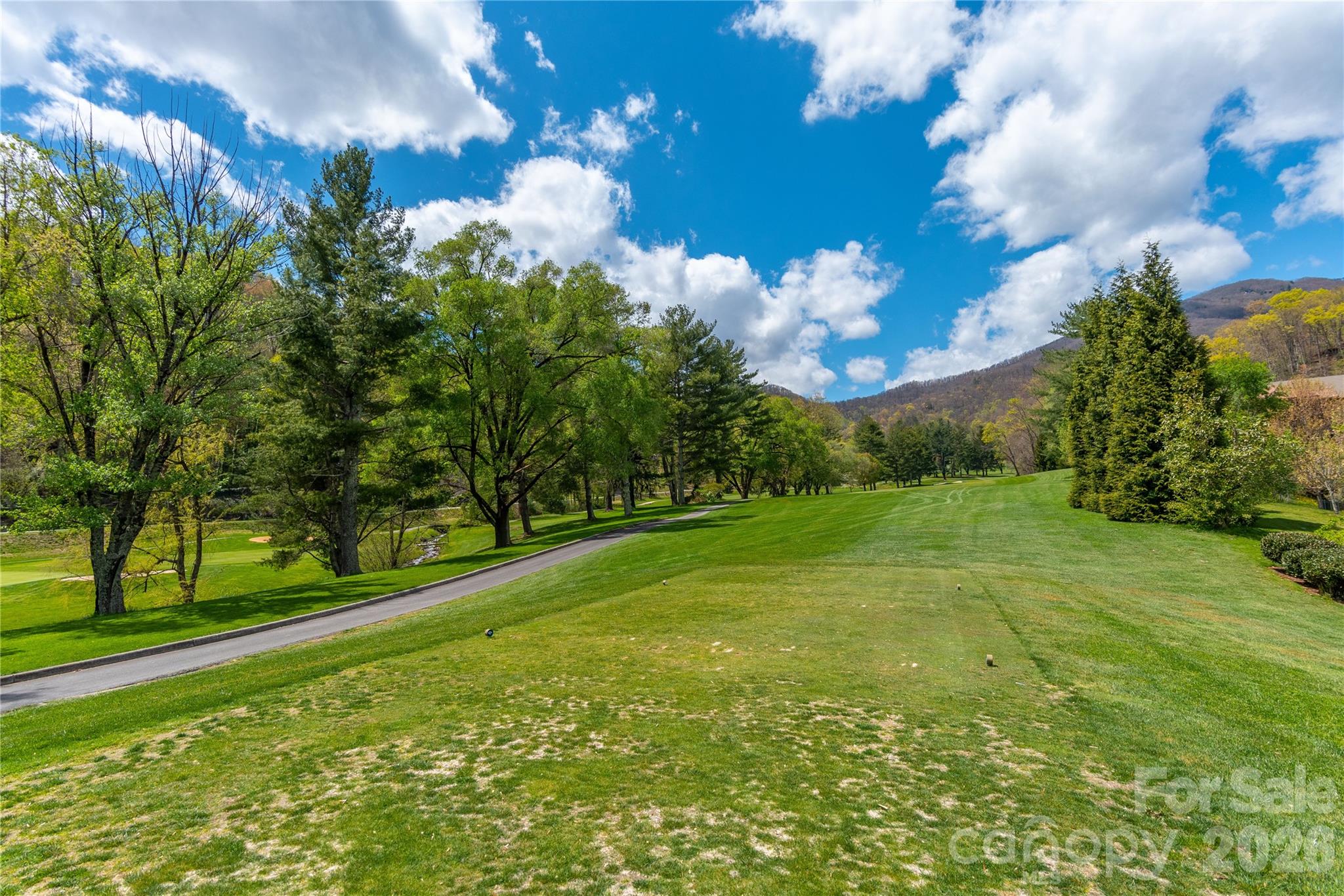Mountain View Estates - Land