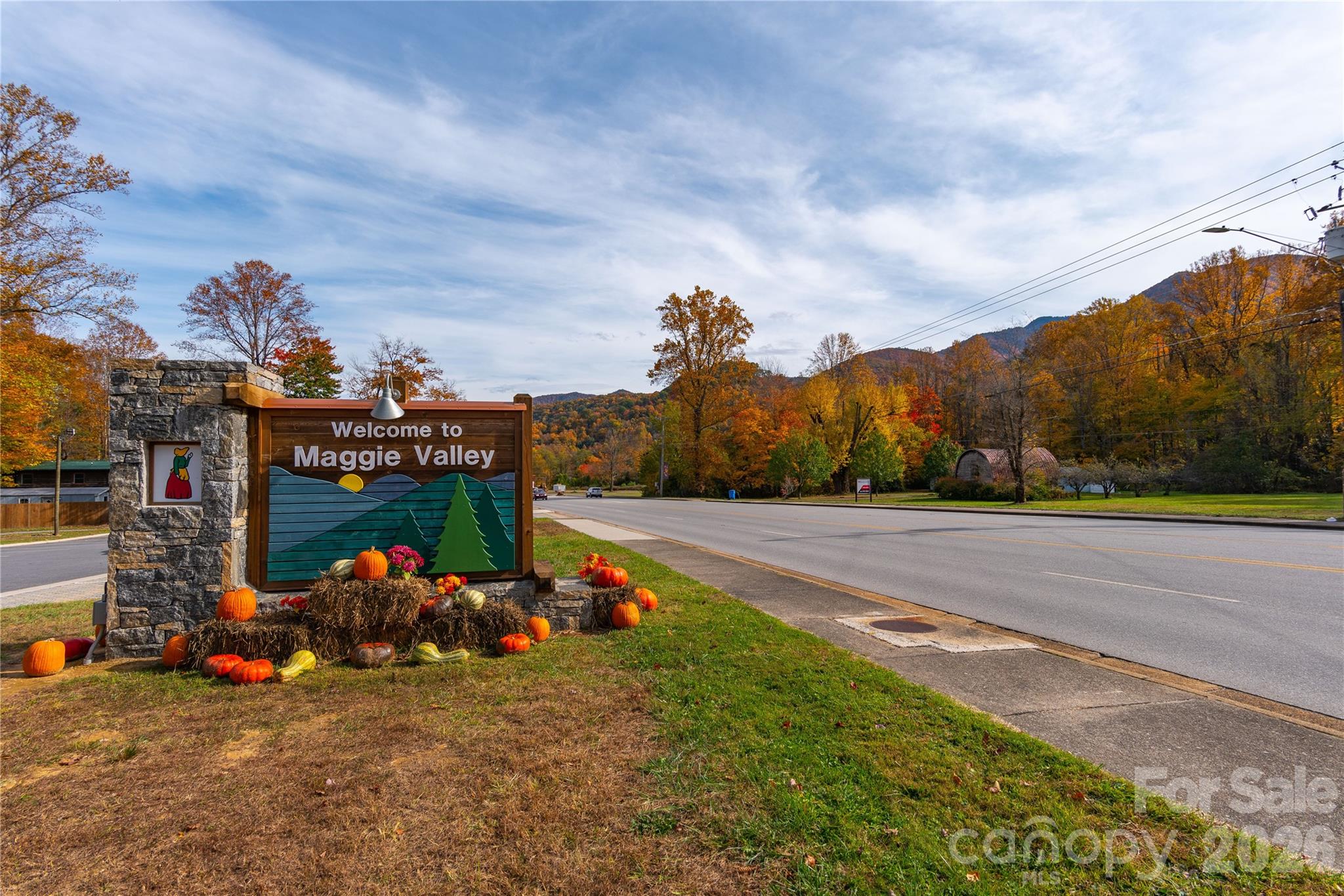 Mountain View Estates - Land