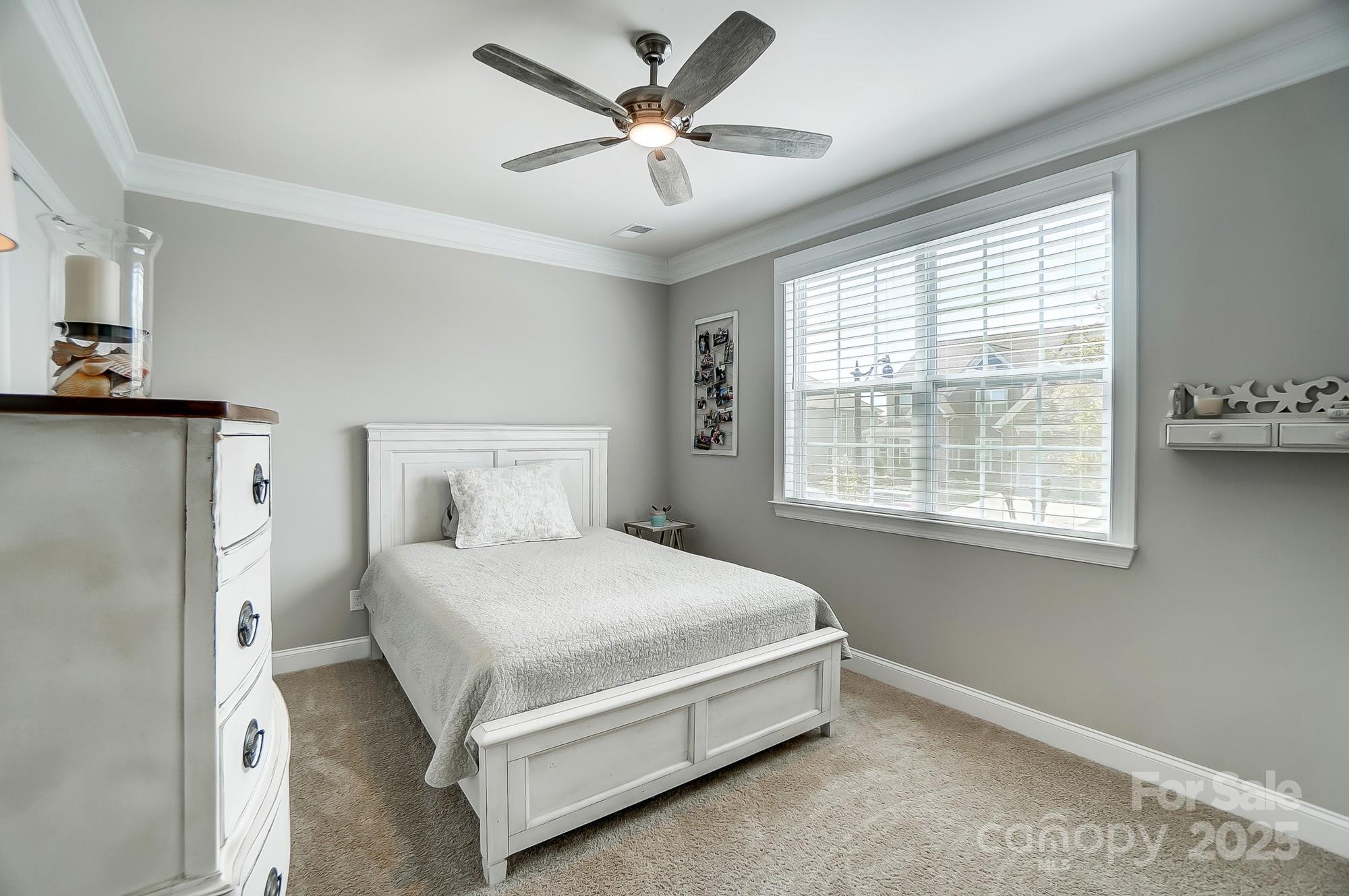 Avondale - Residential