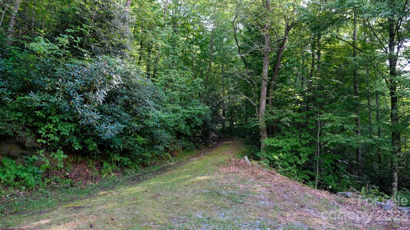 Richland Ridge - Land