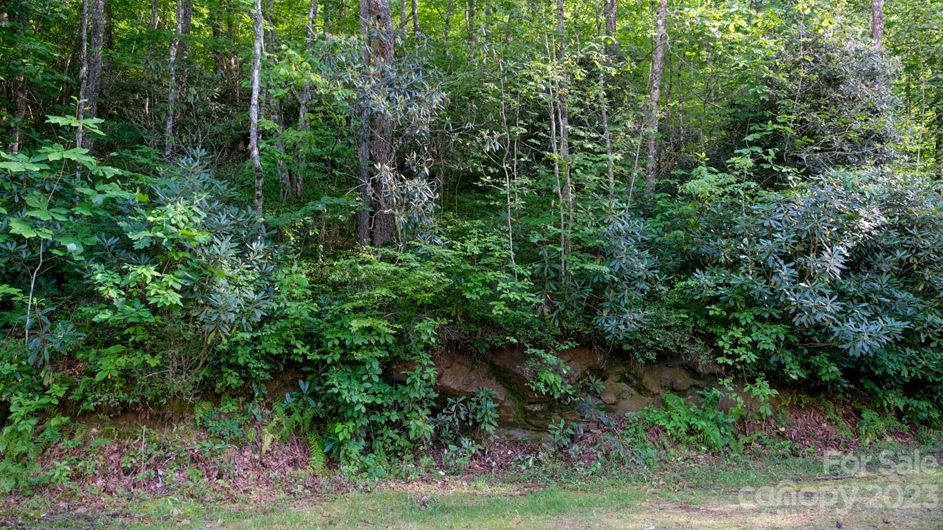 Richland Ridge - Land