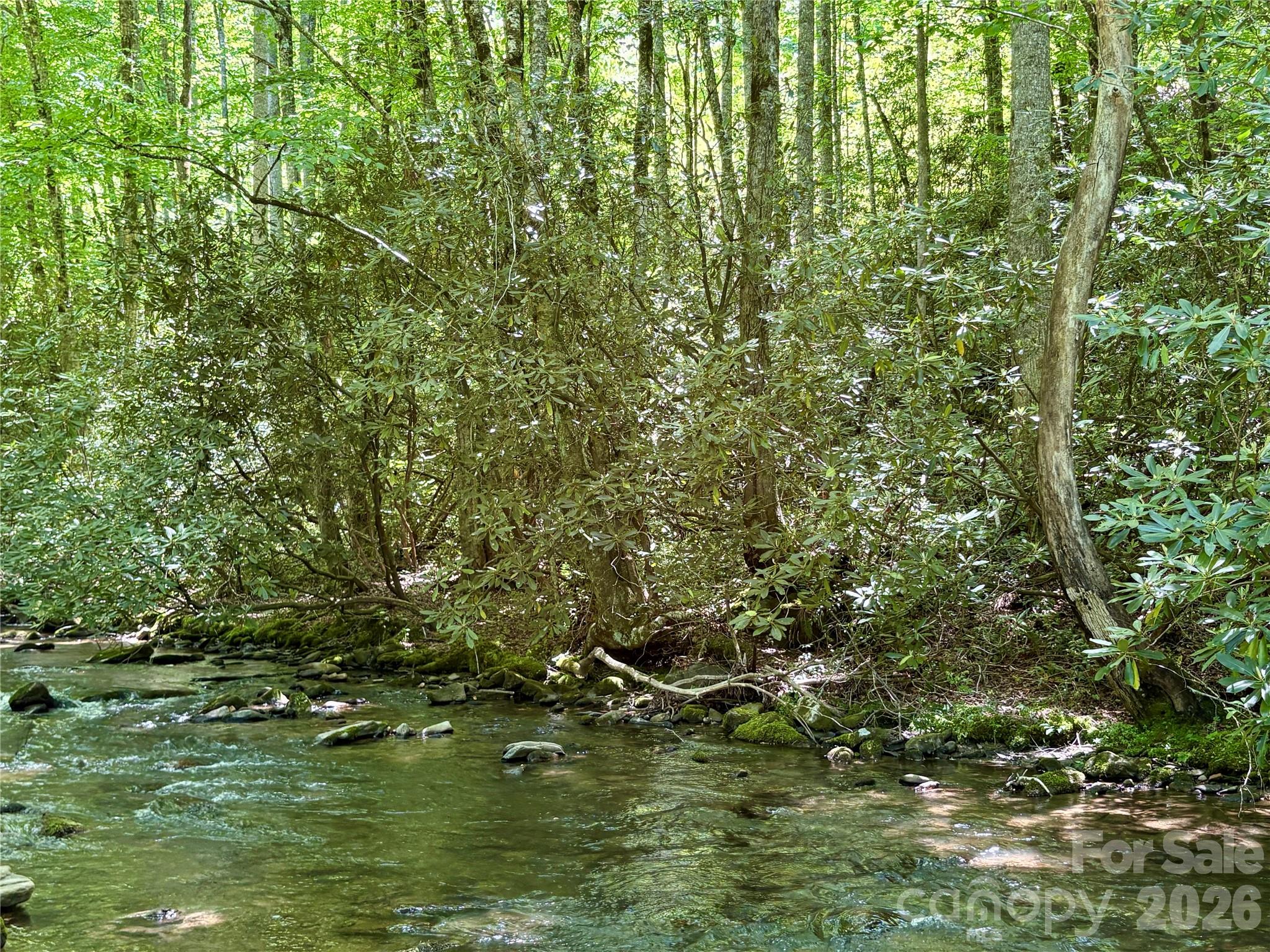 Alarka Creek Properties - Land